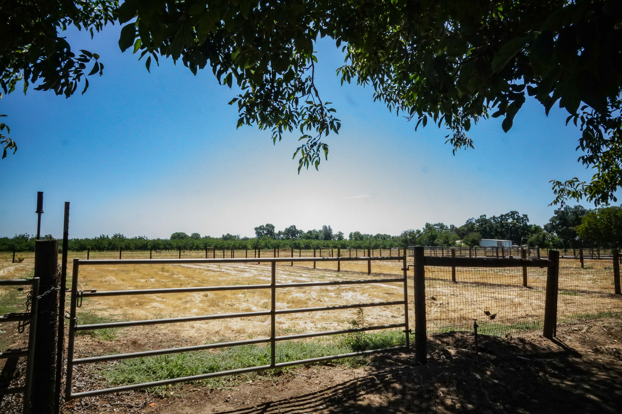 Woodard Ranch