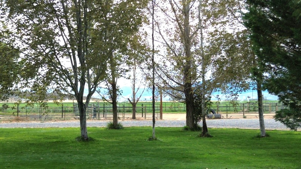 Listing Image 71