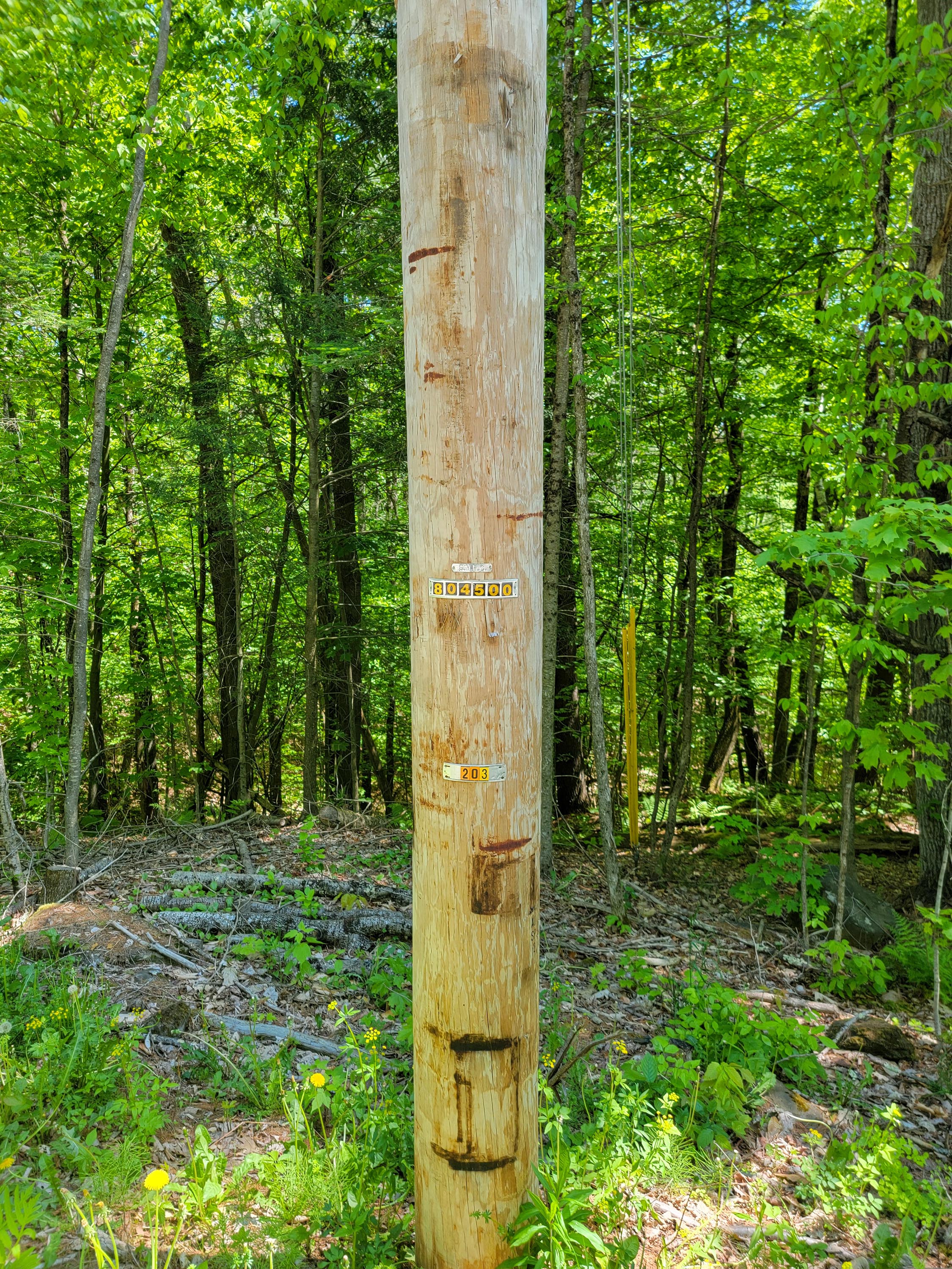 Listing Image 55
