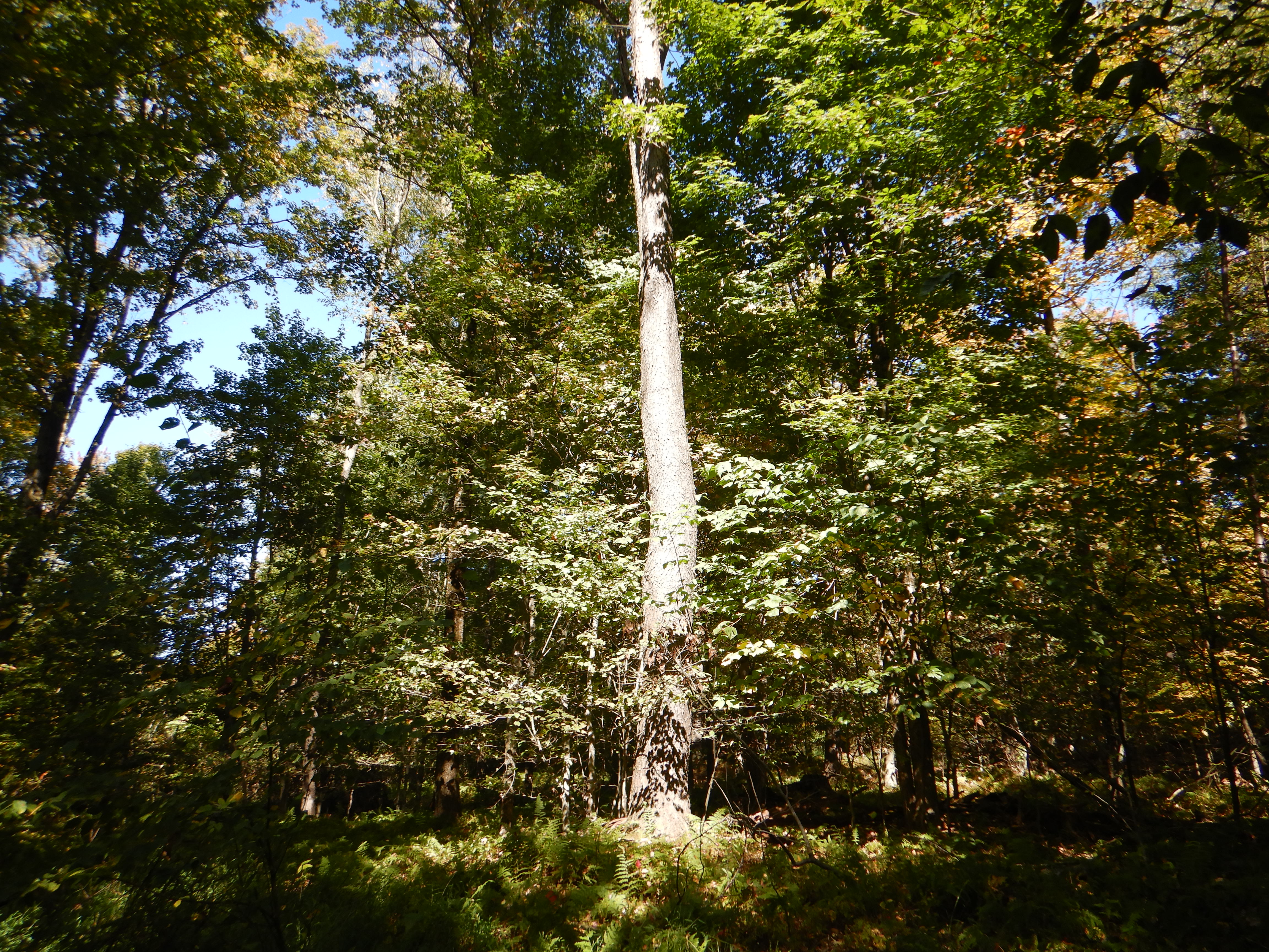 Listing Image 8