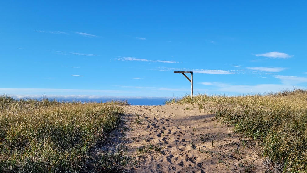 Superior Solitude - Lake Superior 50144210