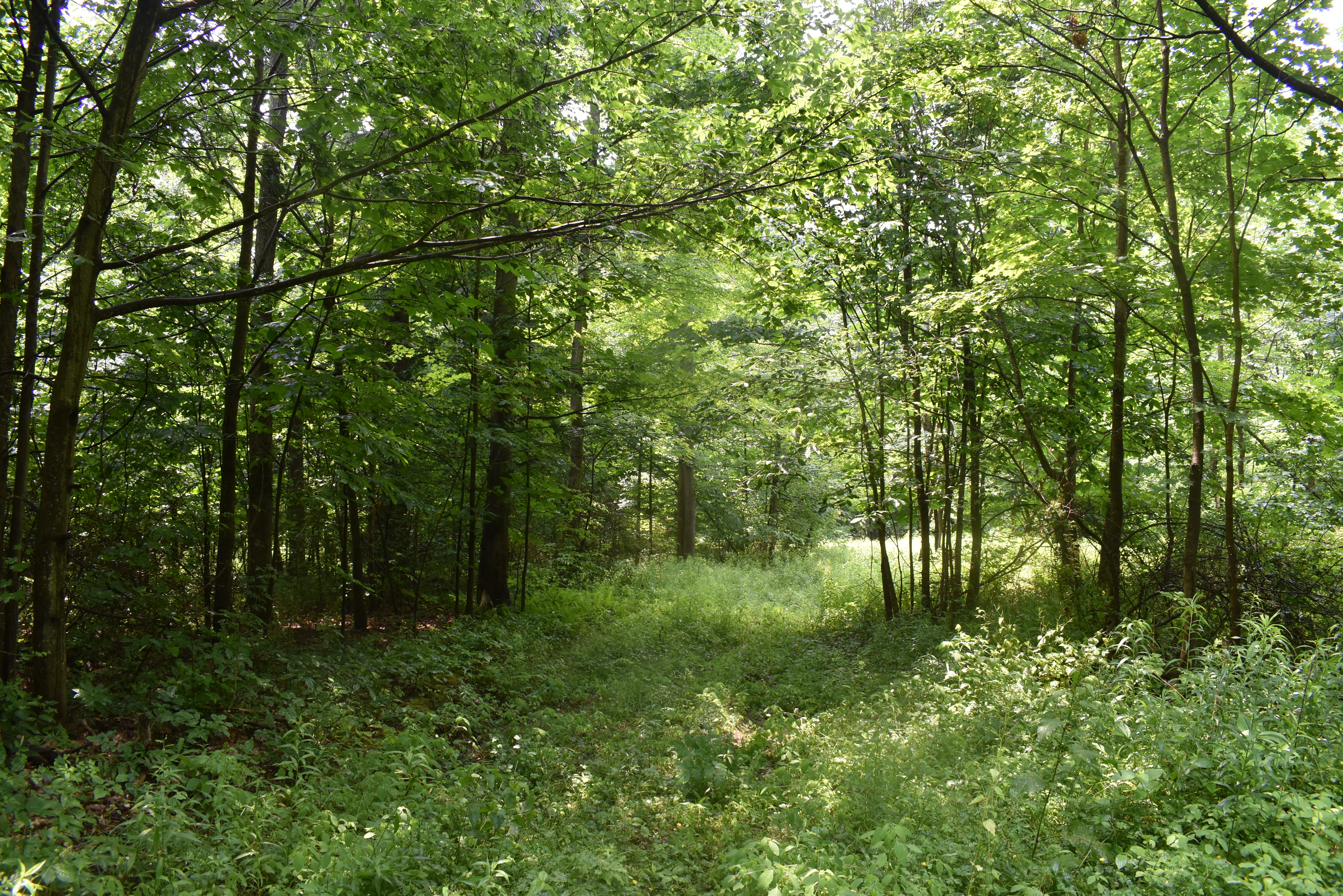 Listing Image 85
