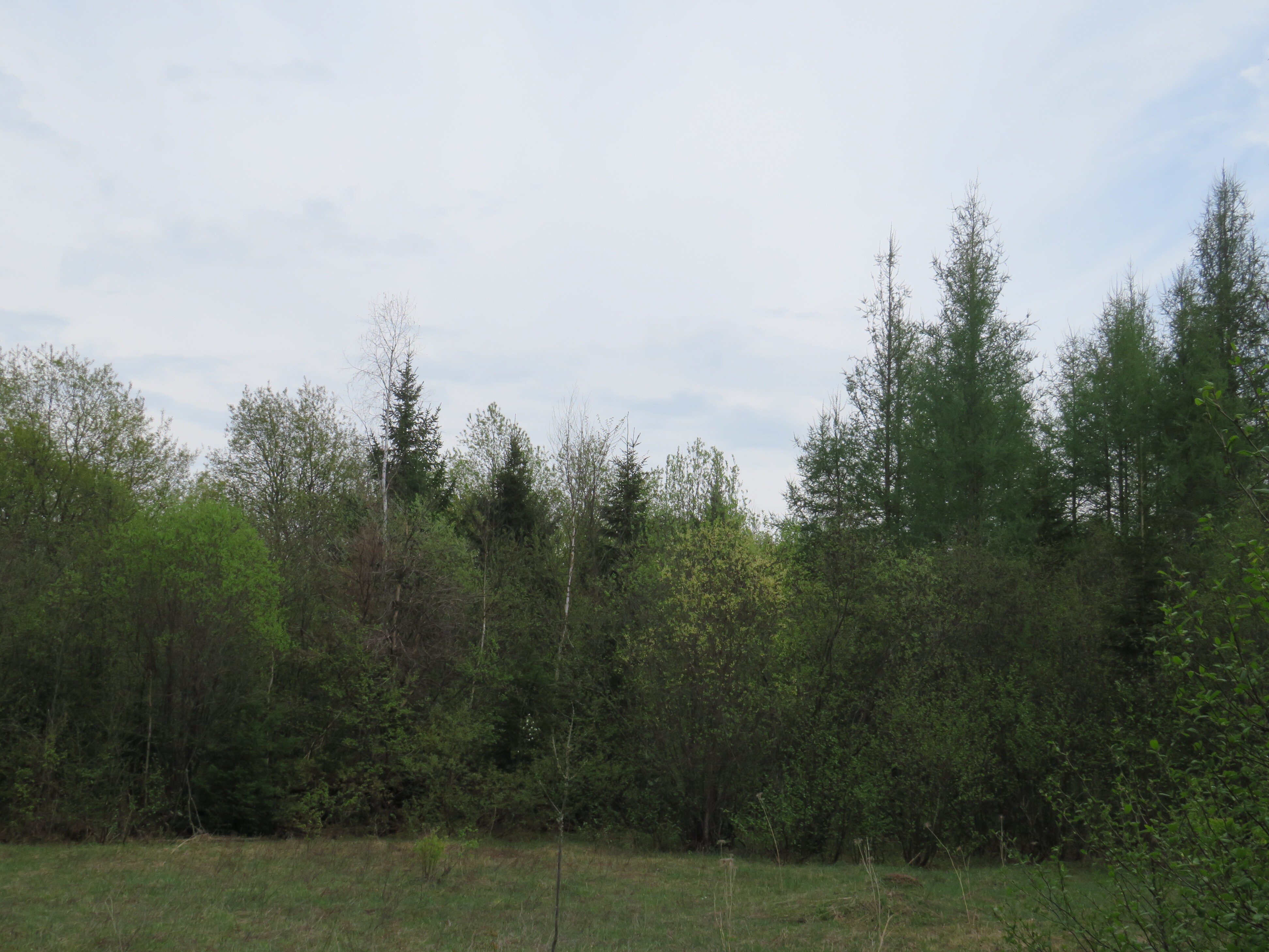 160 Acre Wilderness Retreat 50175391
