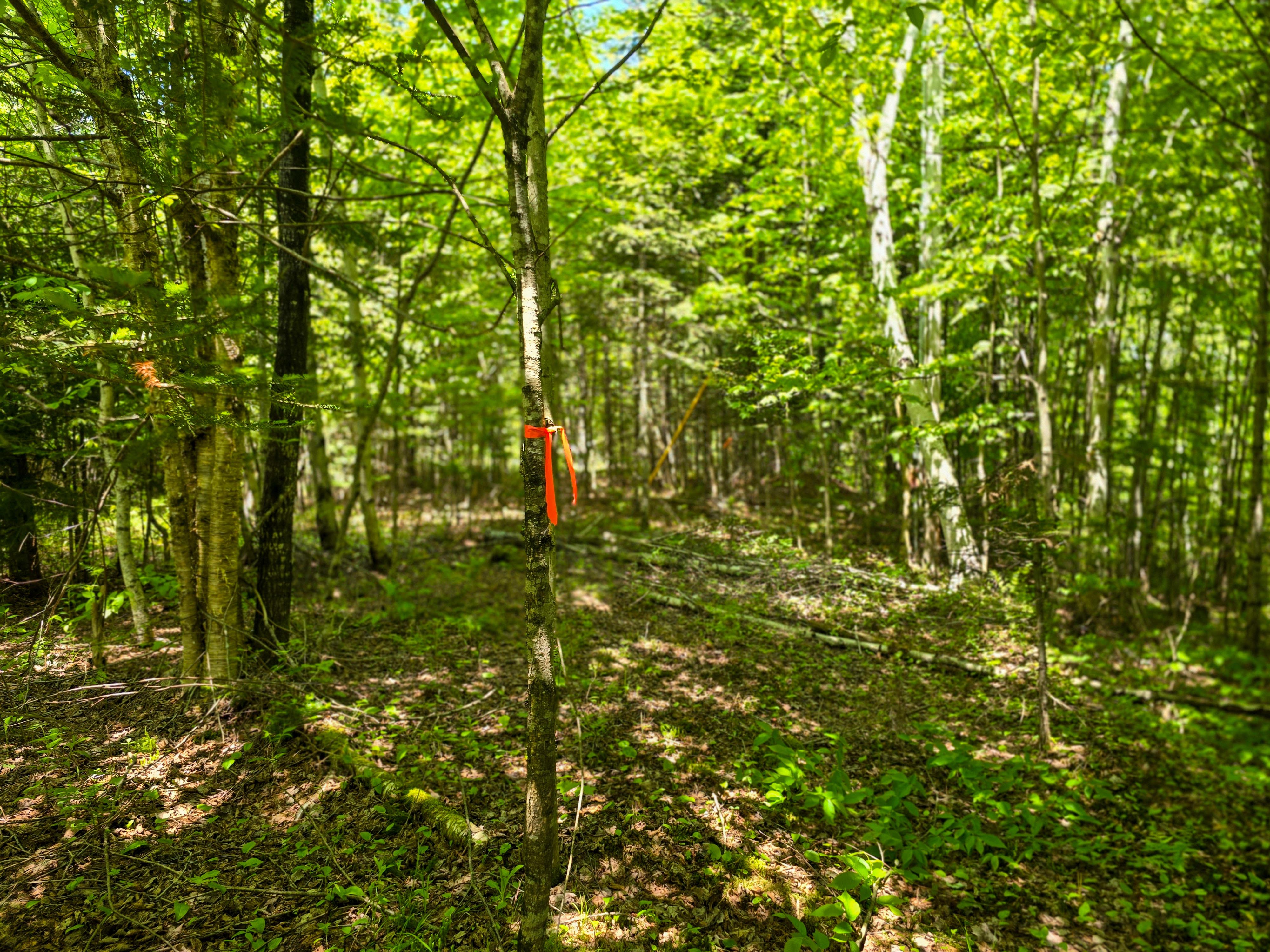 150 Spur Rd - Bloomfield