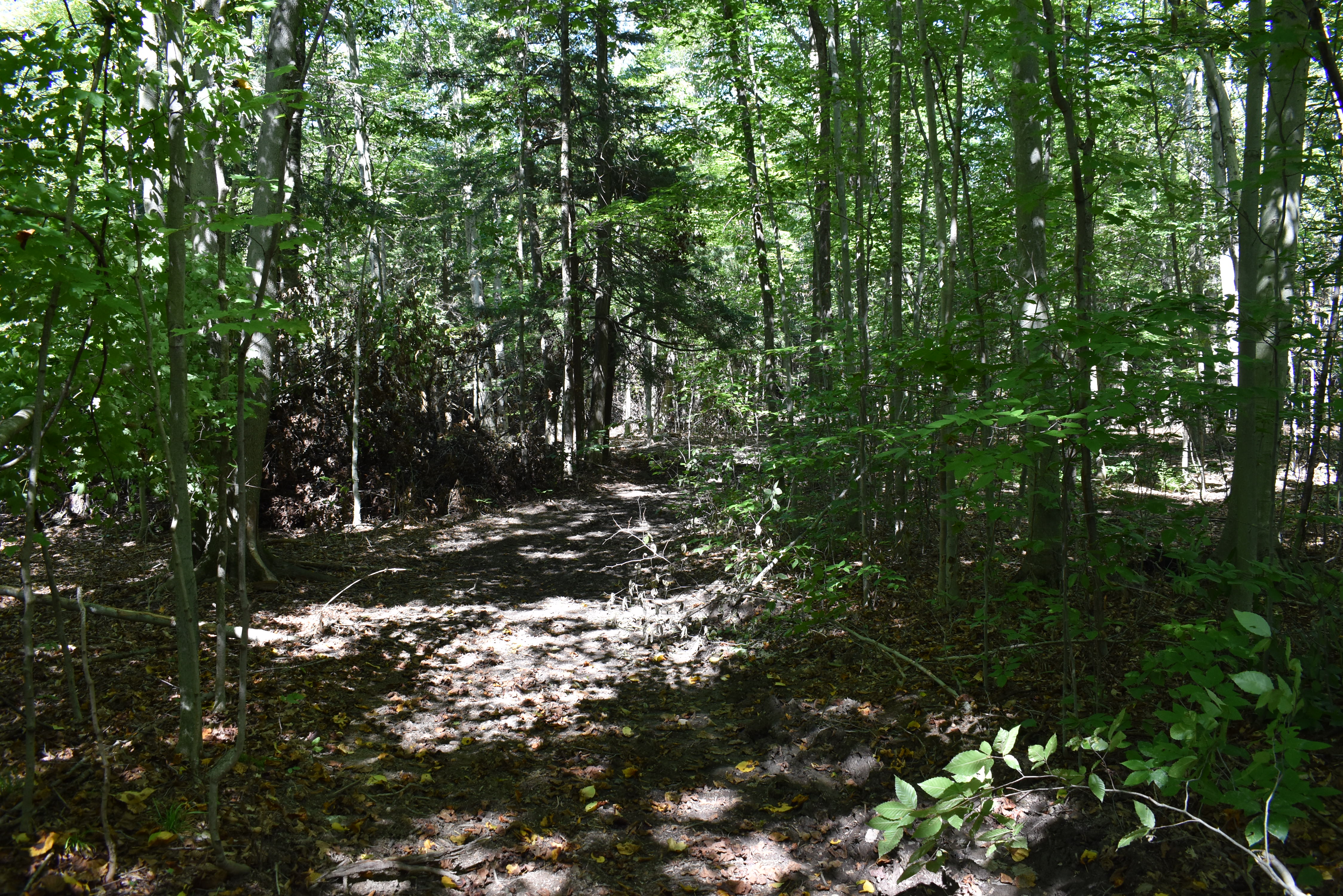 Hunter's Hidden Treasure