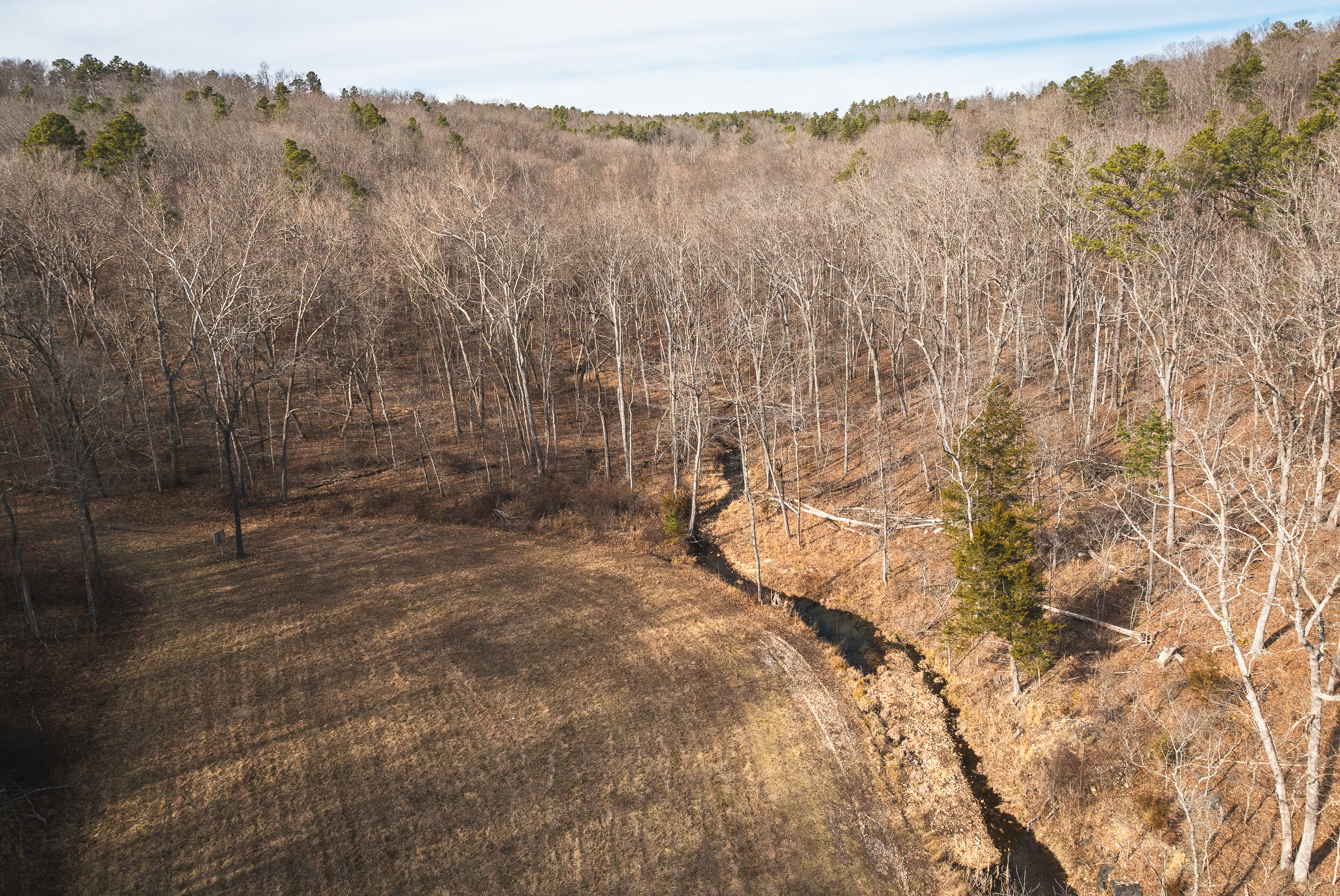 Curly Hole Camp at Peterball Spring
