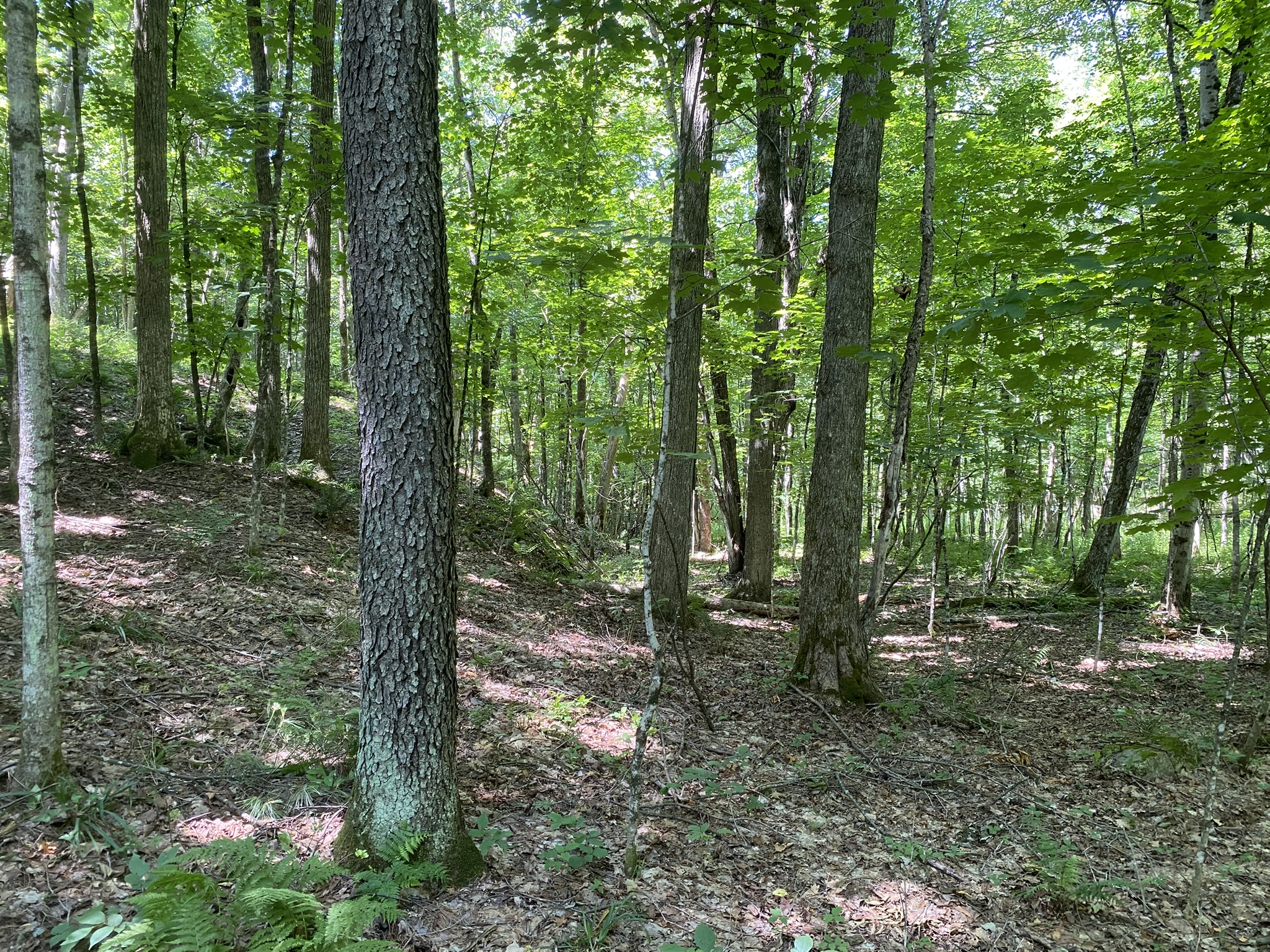 Listing Image 70