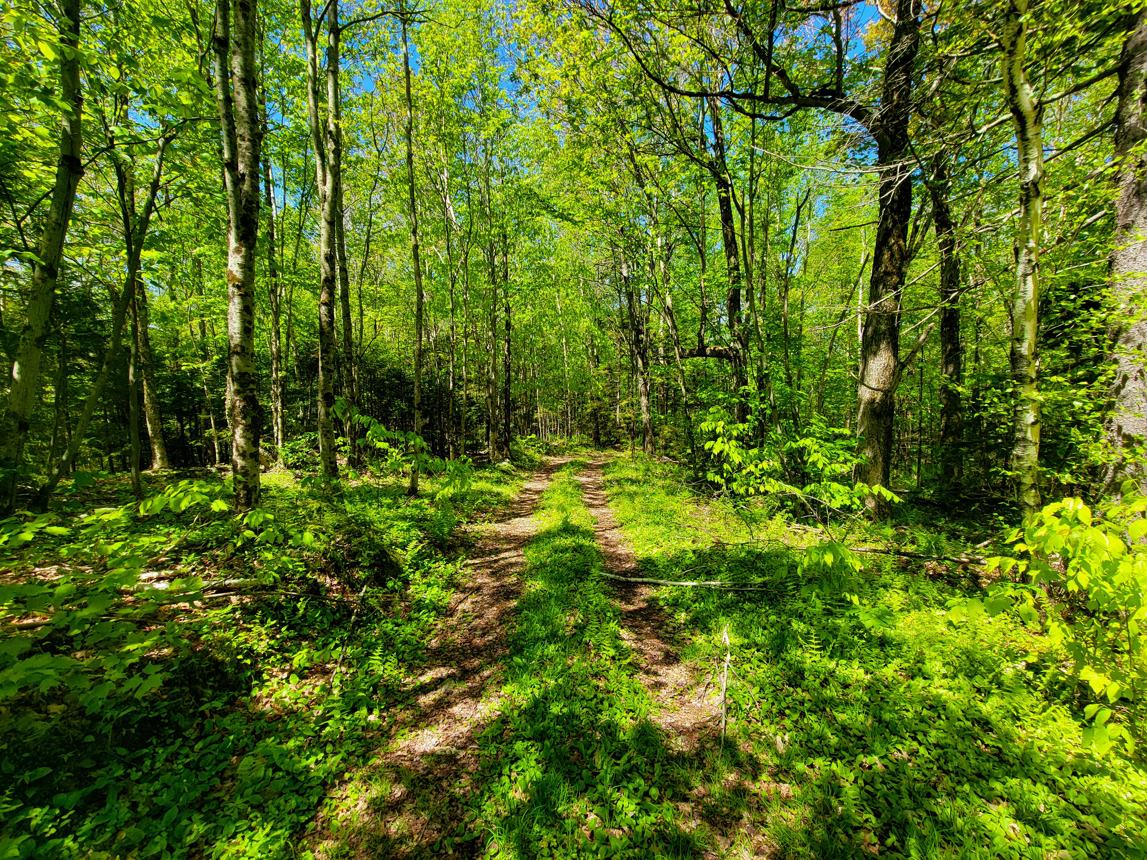 925 Hathaway Rd - Goshen