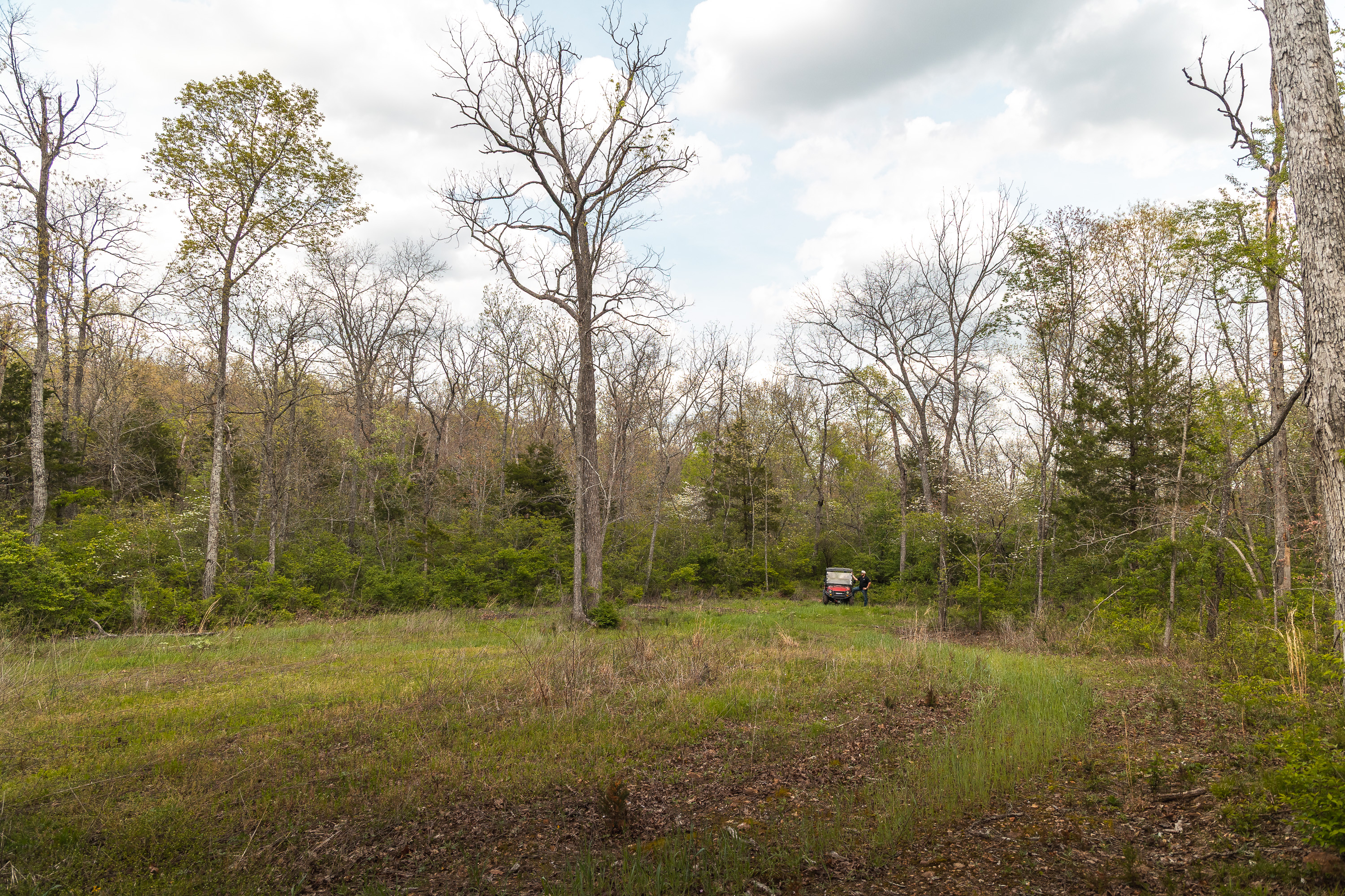 Buck Nest 32