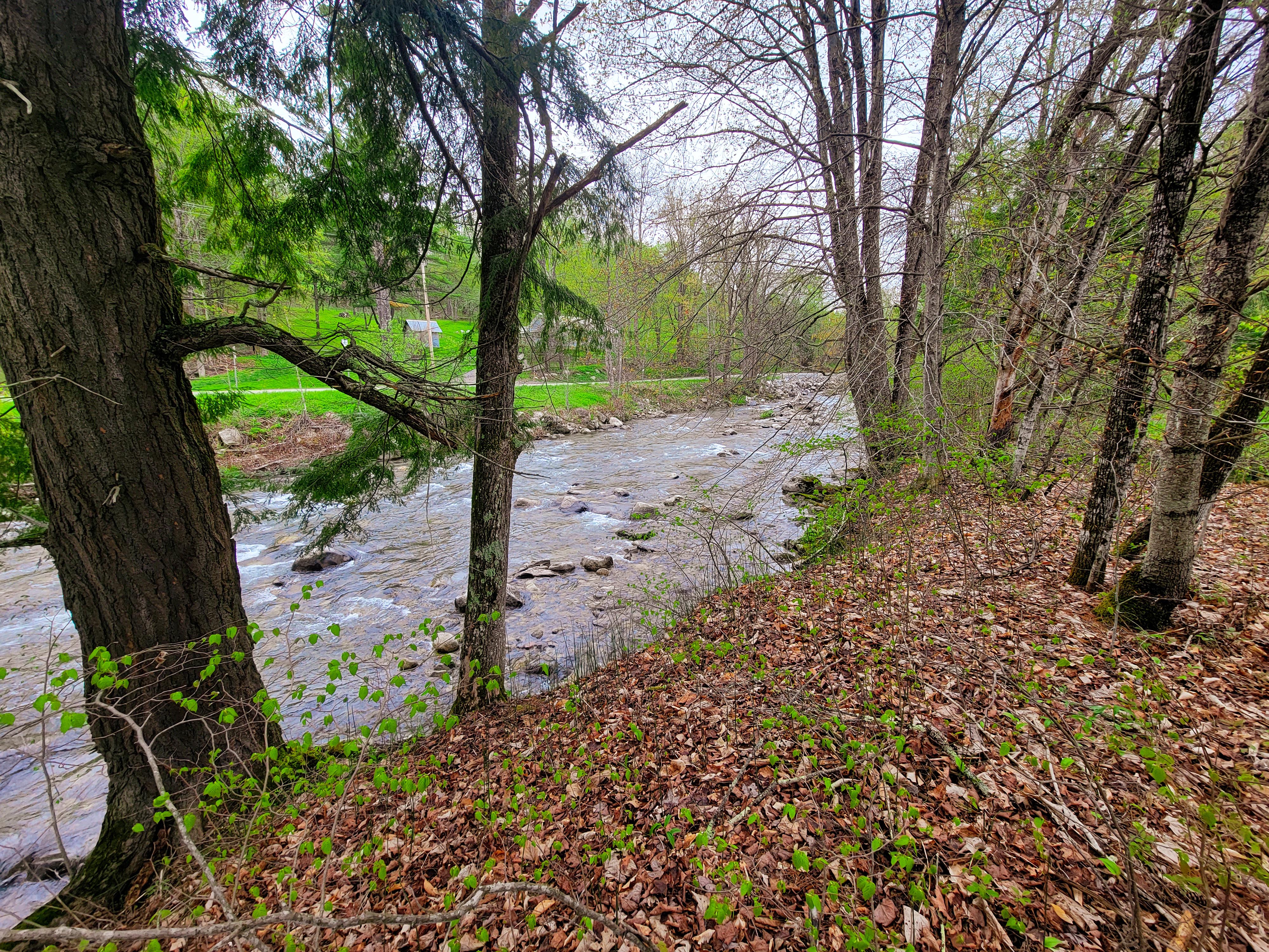 12 Meadowbrook Ln - Chelsea