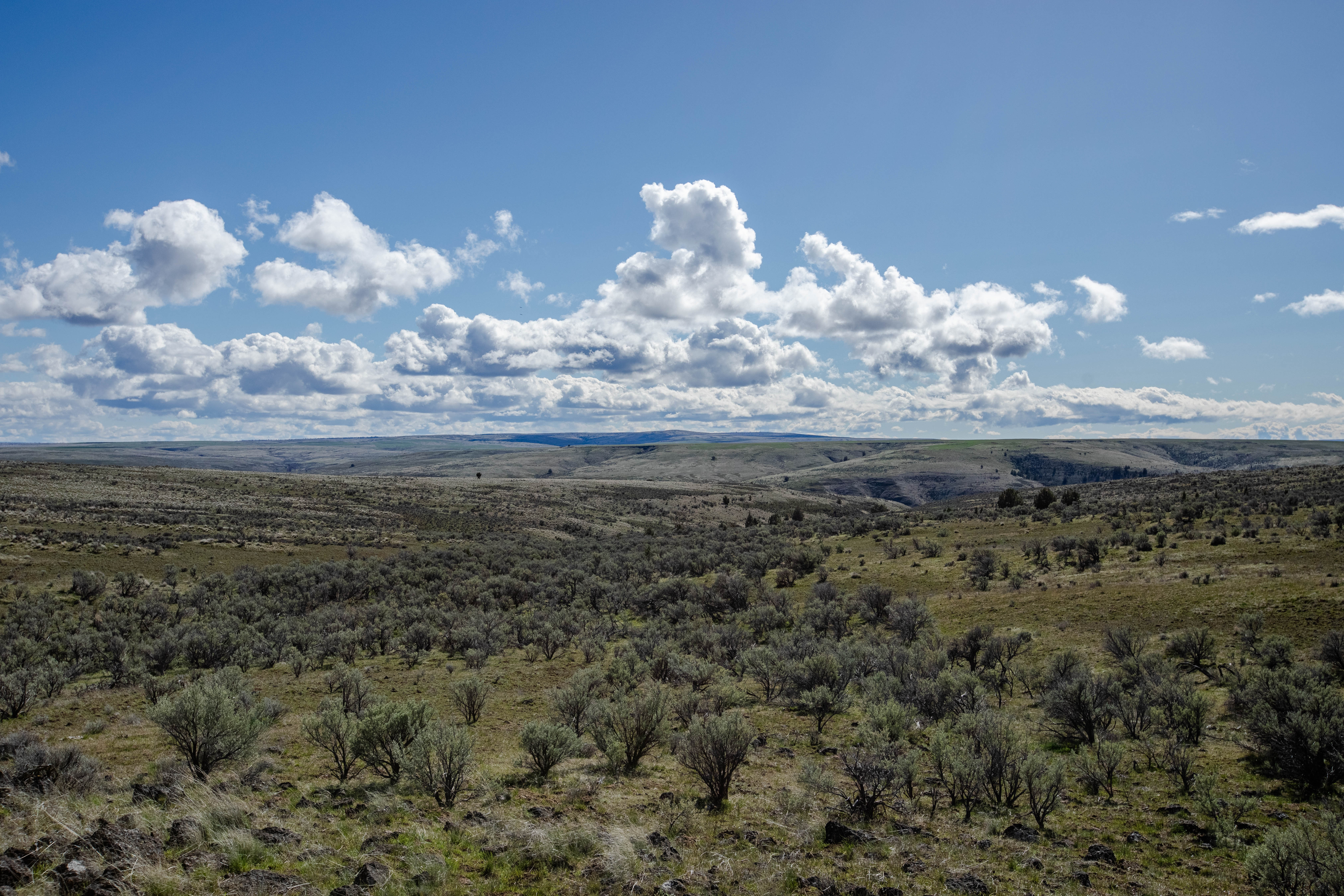 94072 Wilson Lane - Sherman County Farm for Sale