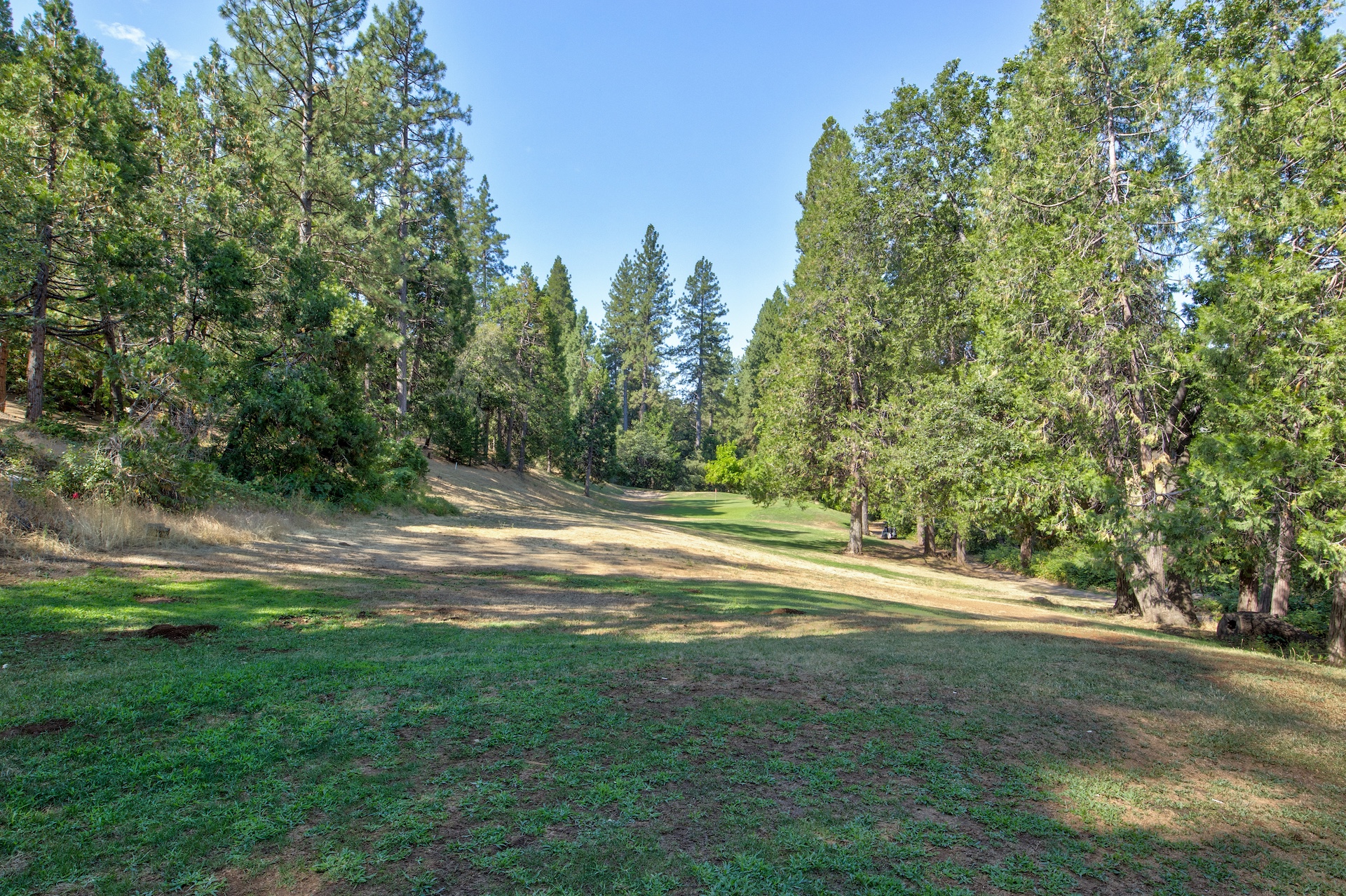 Listing Image 39