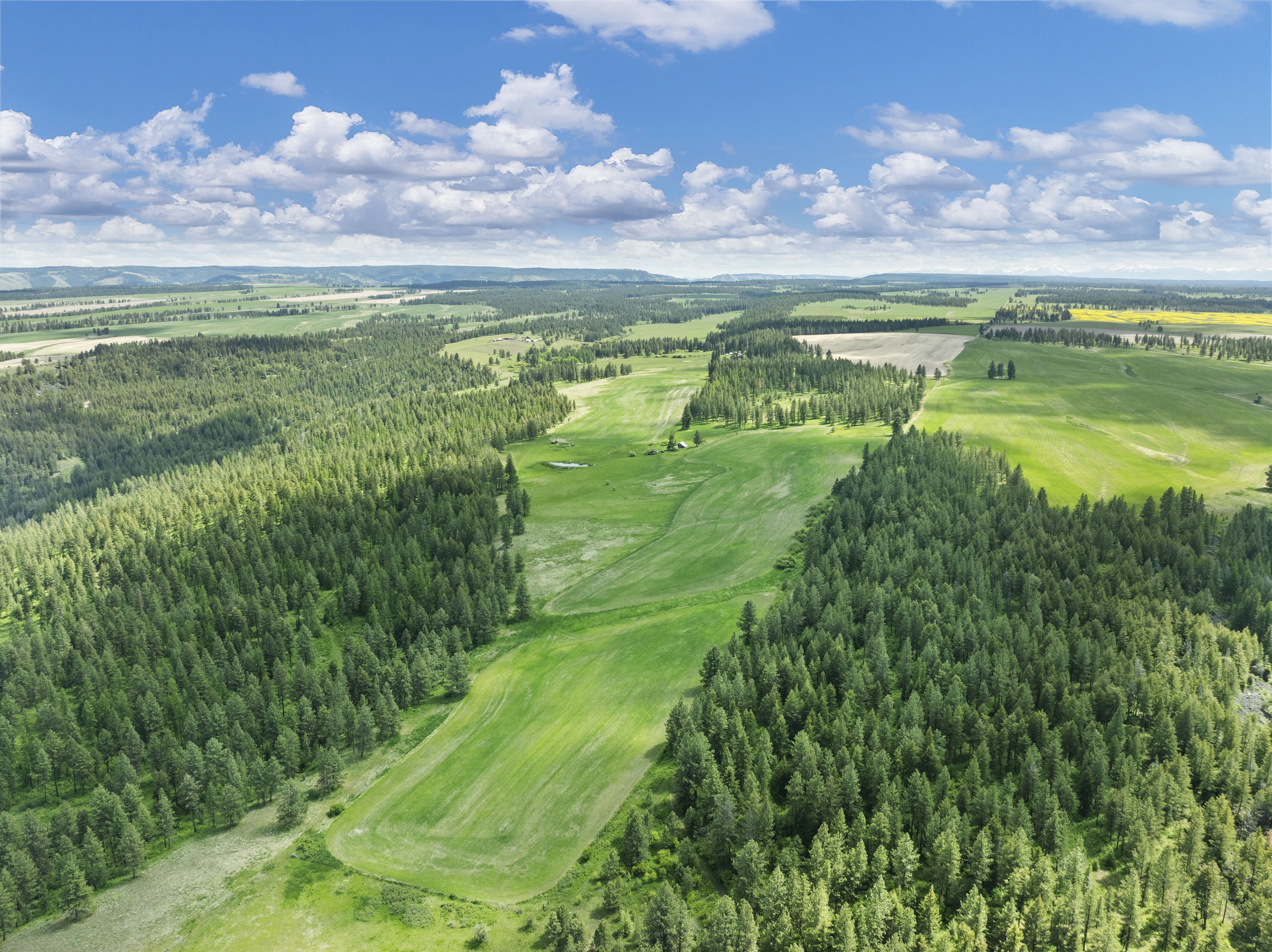 Buford Ridge Ranch