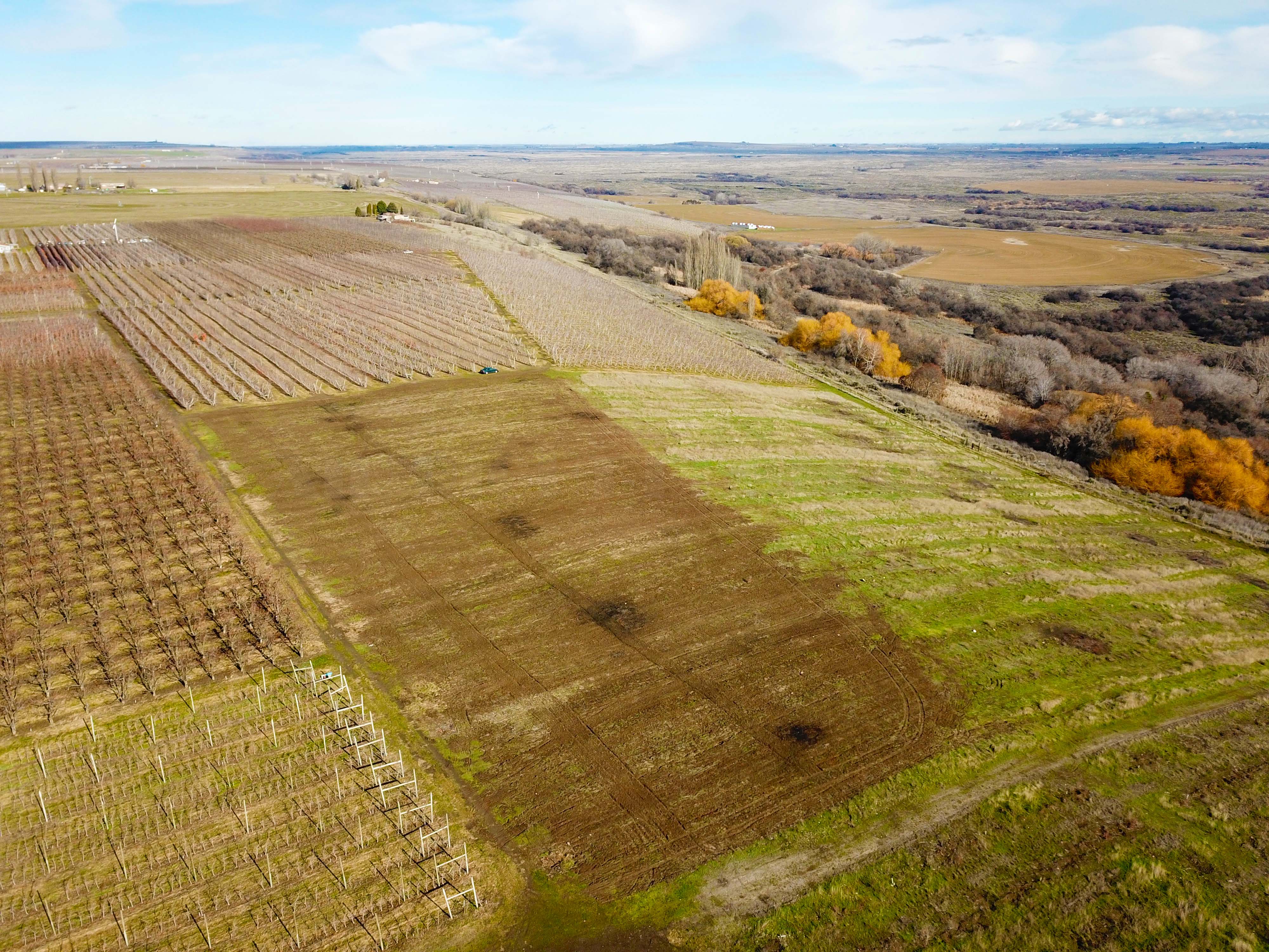 Best Price in County for Productive Orchard