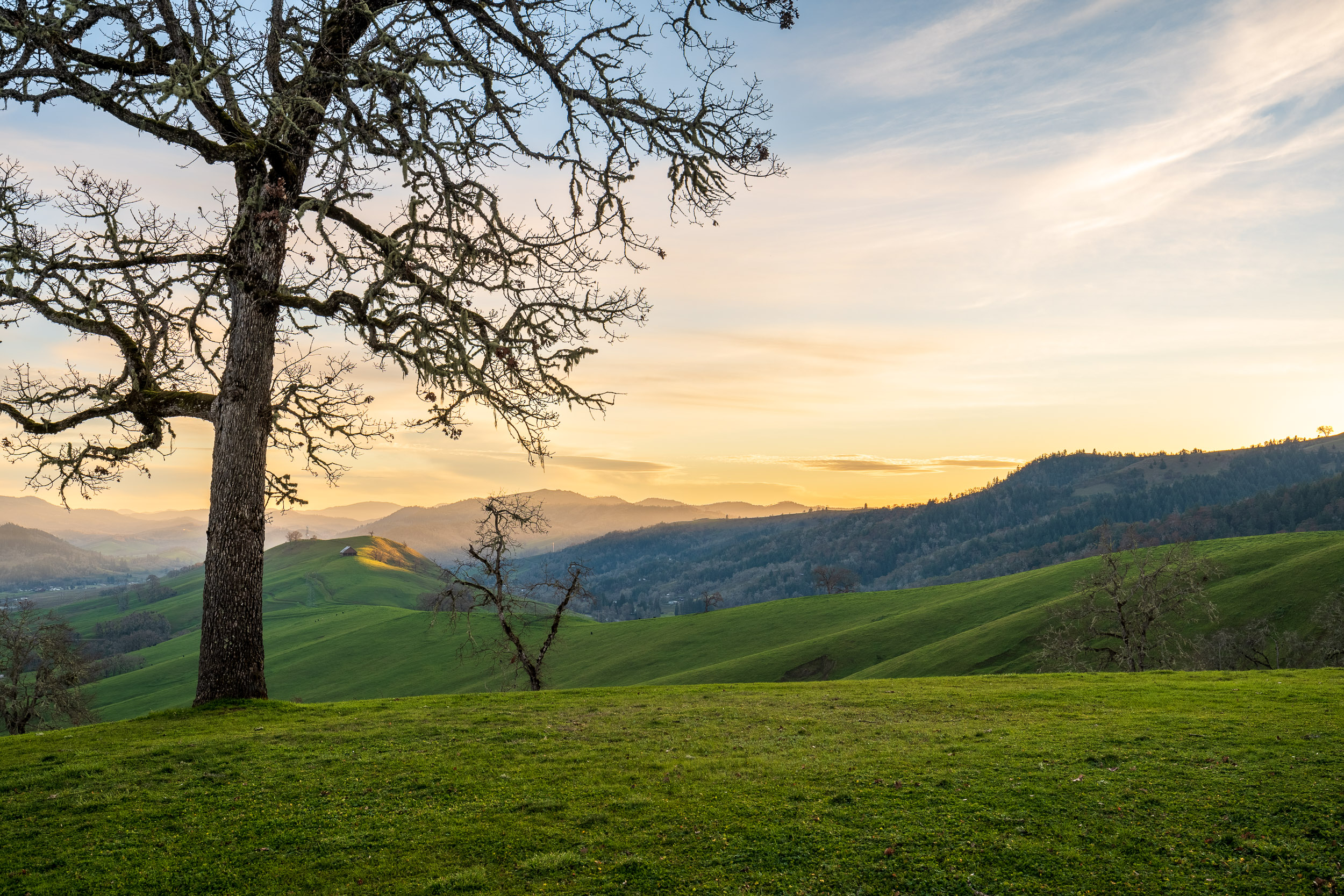 N Umpqua Ranch - 10181 N Umpqua Hwy