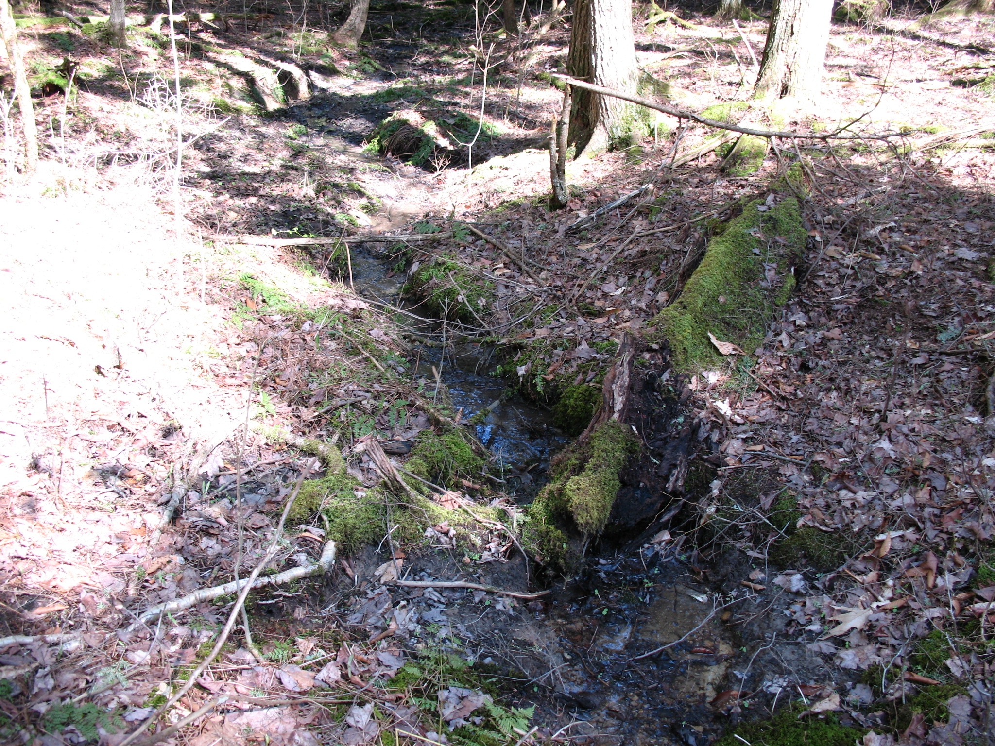Listing Image 24
