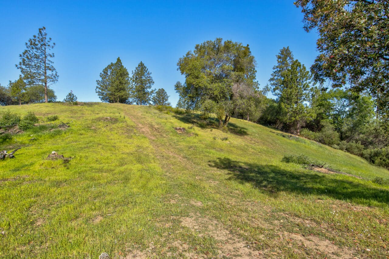 Trembath Mountain Vista