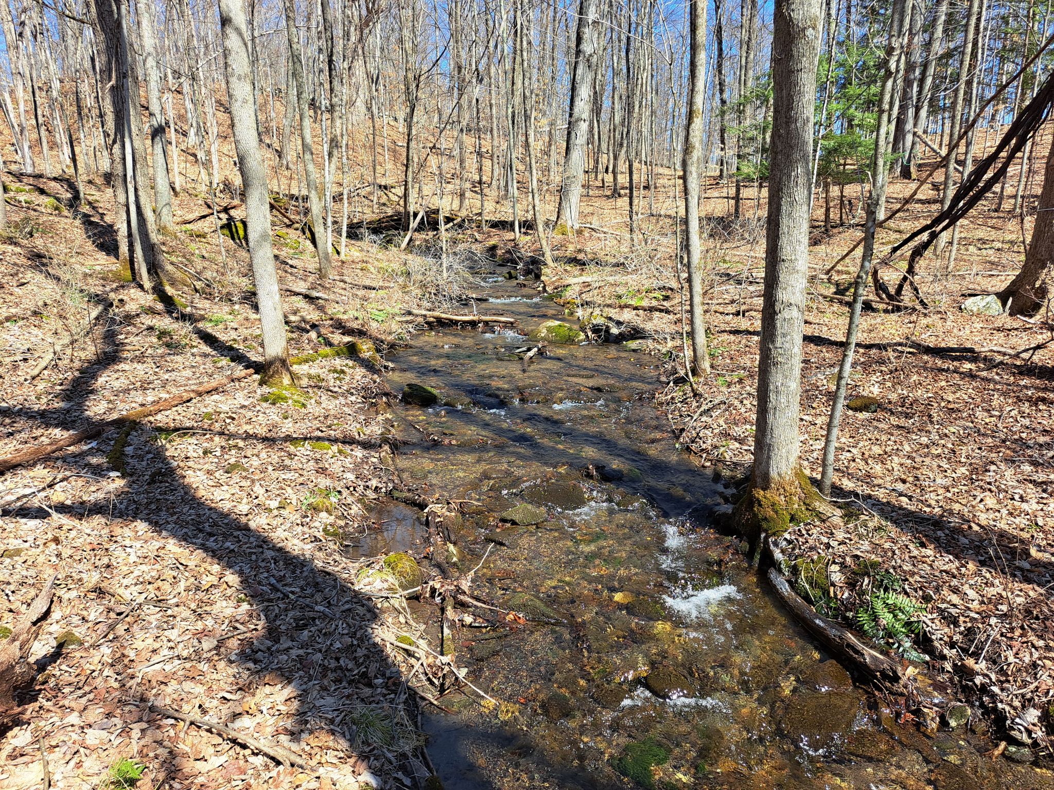 Listing Image 38