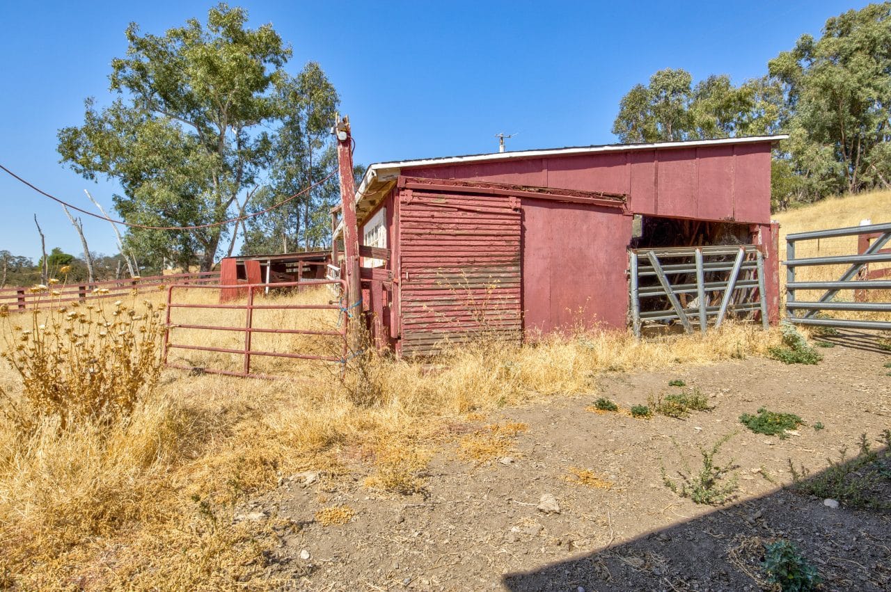 Listing Image 100
