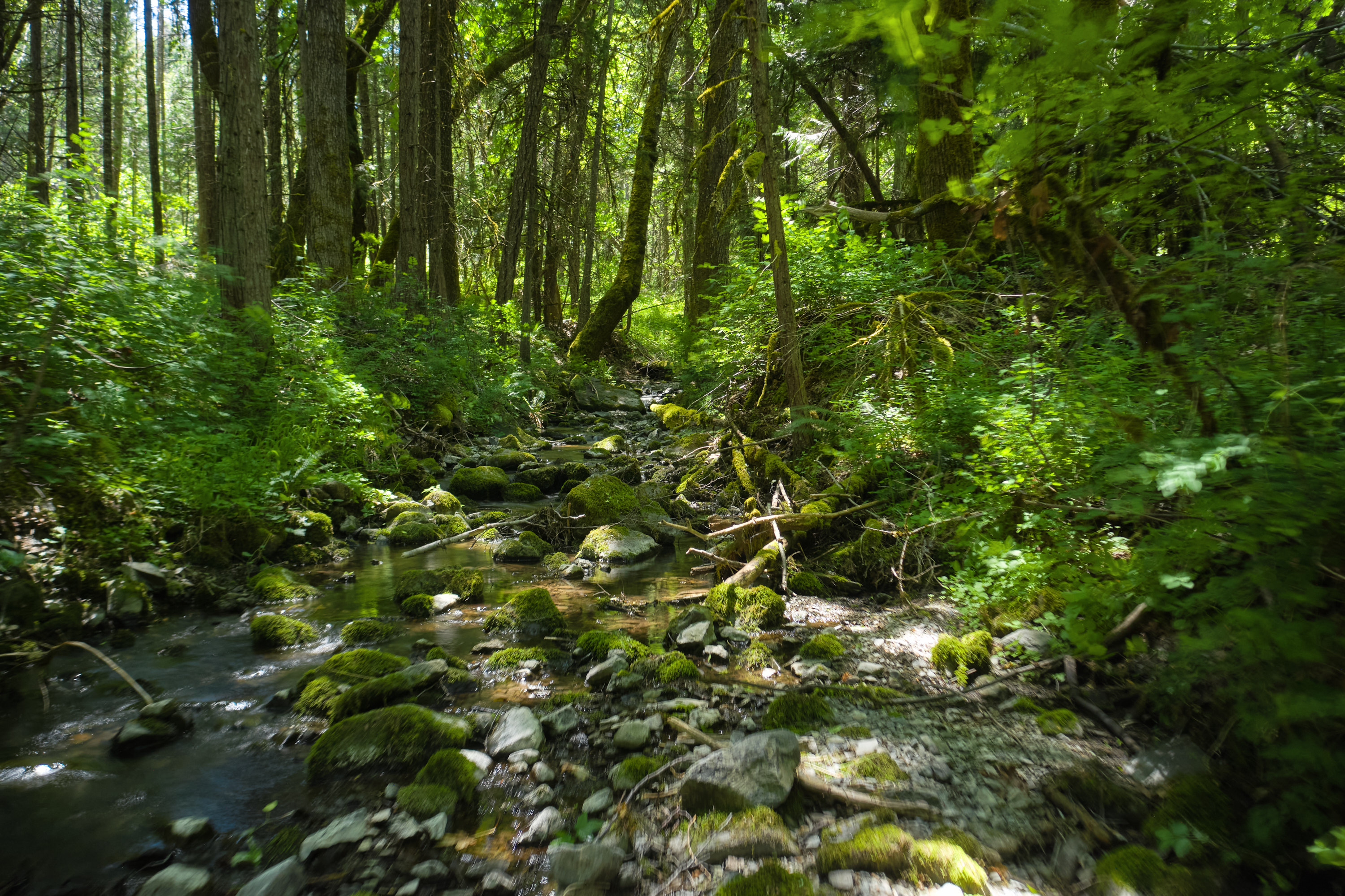 Listing Image 57
