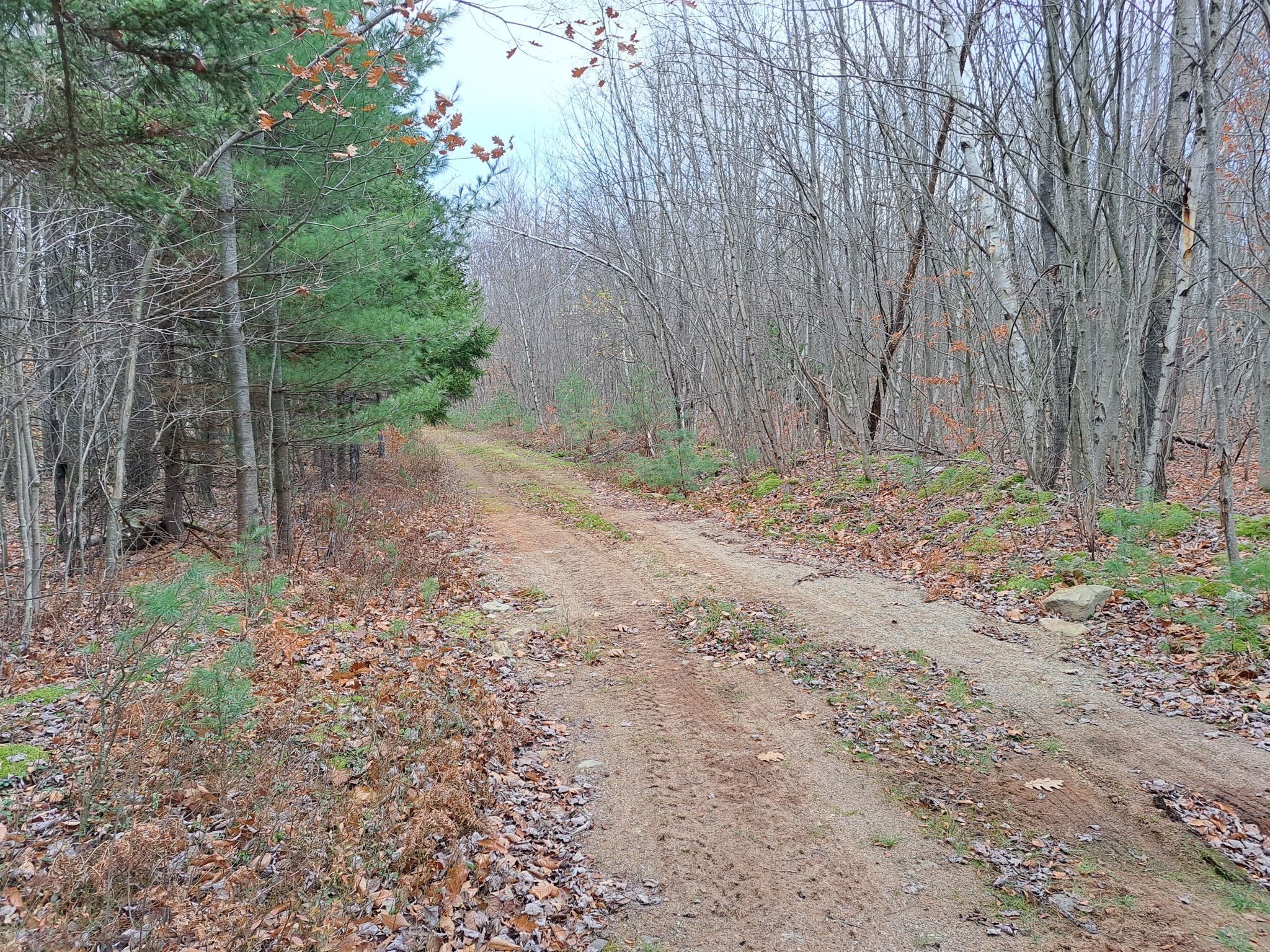 Listing Image 46