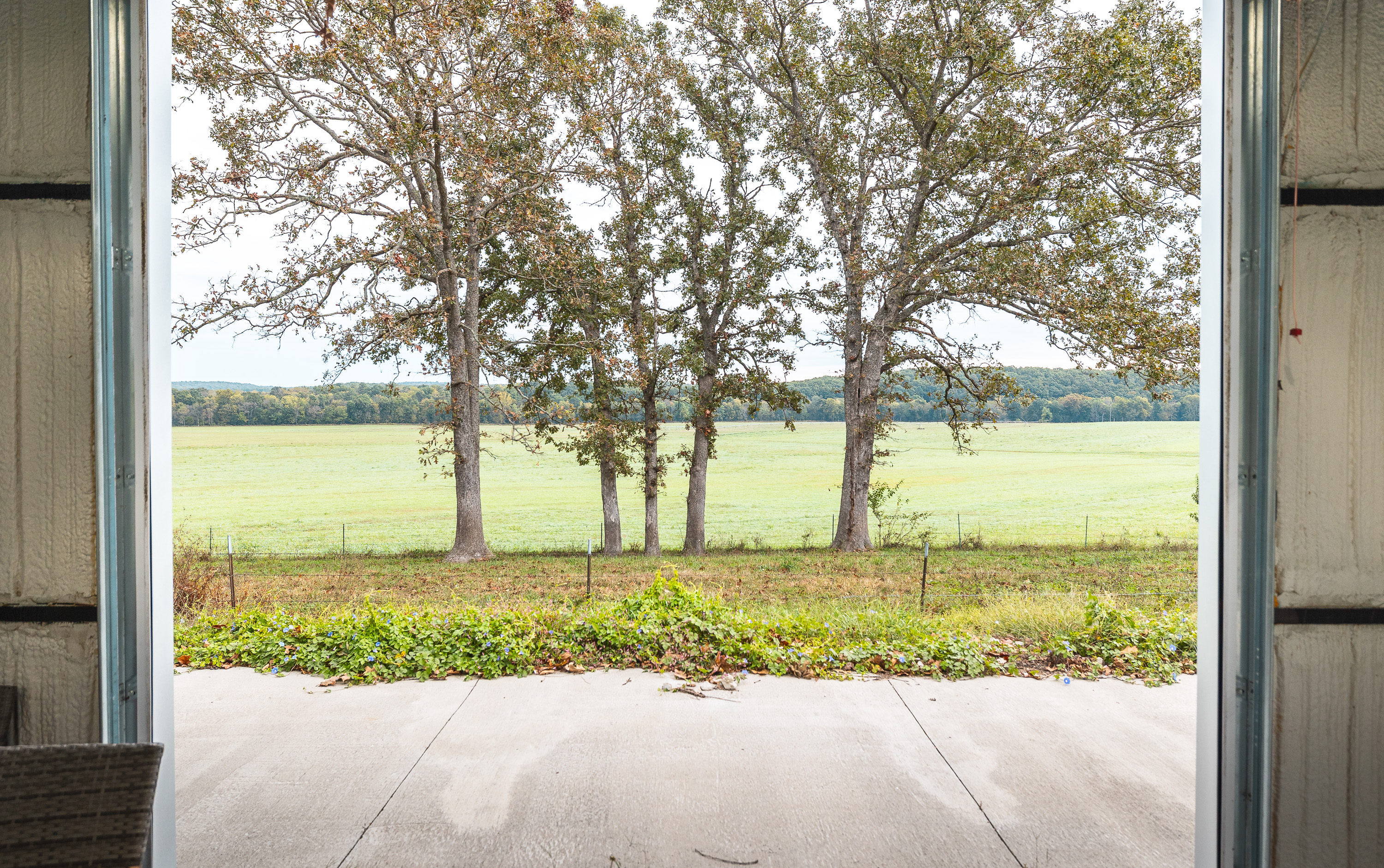 Listing Image 96