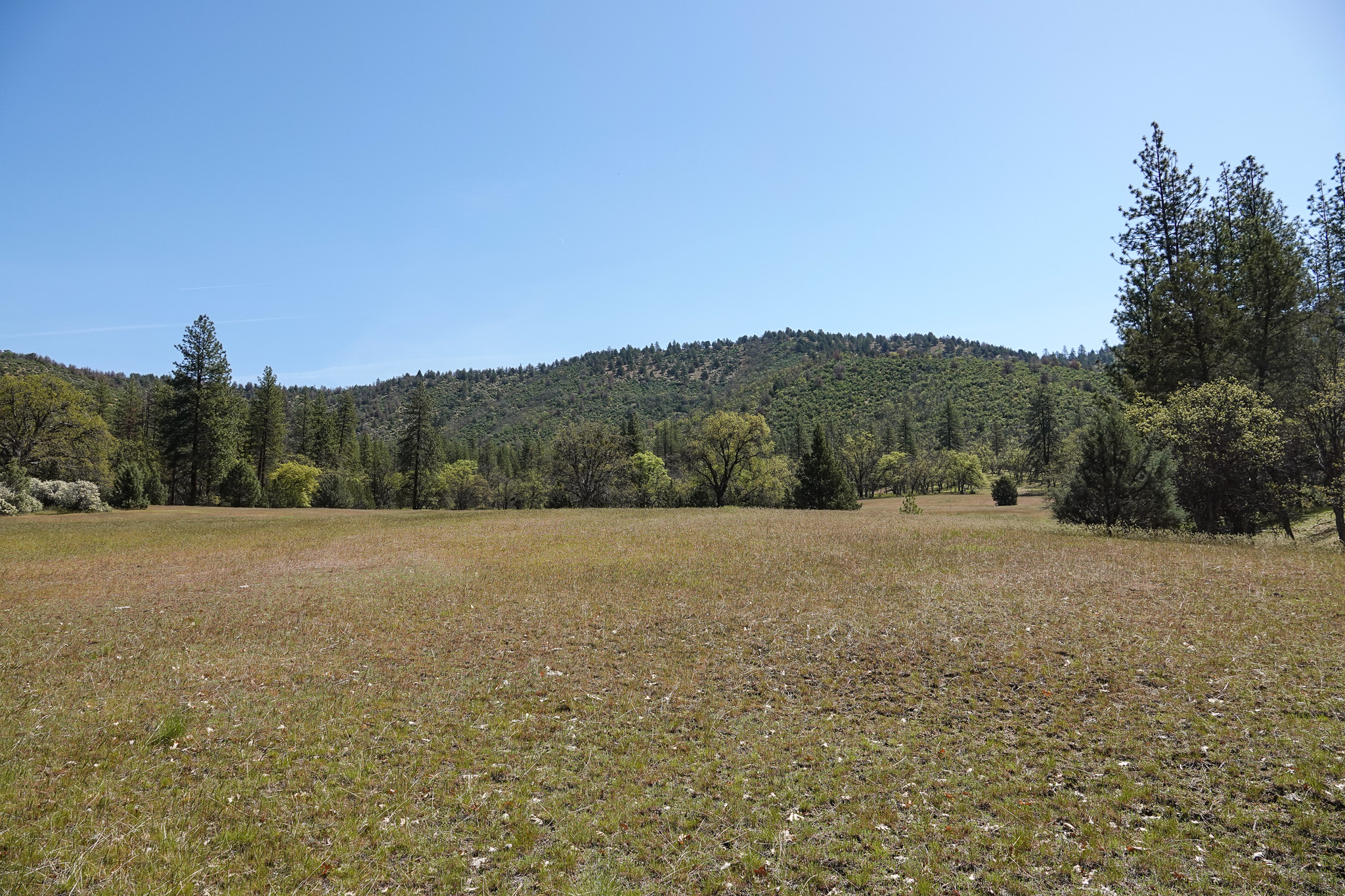 Scarface Acreage
