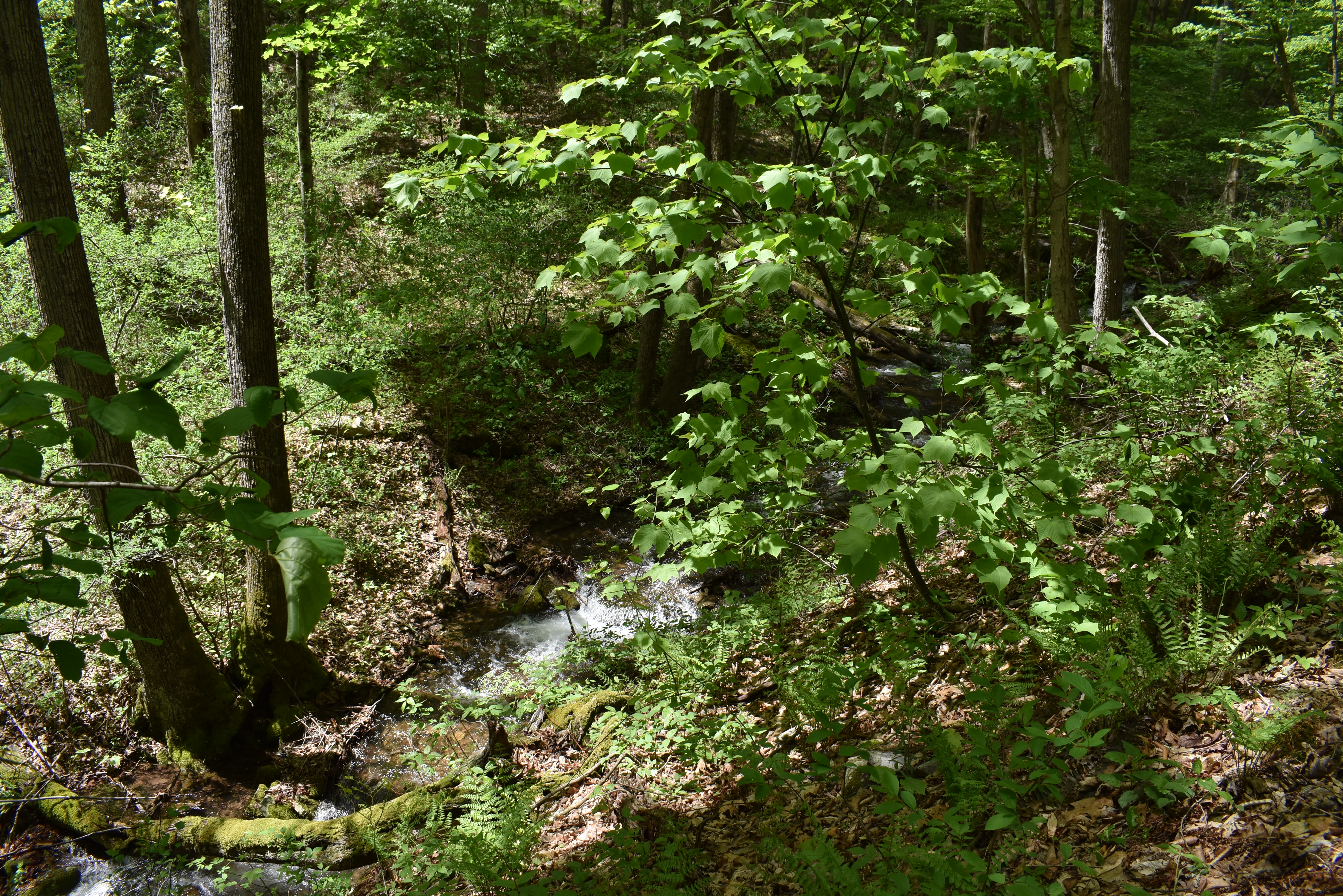 Grugan Hollow