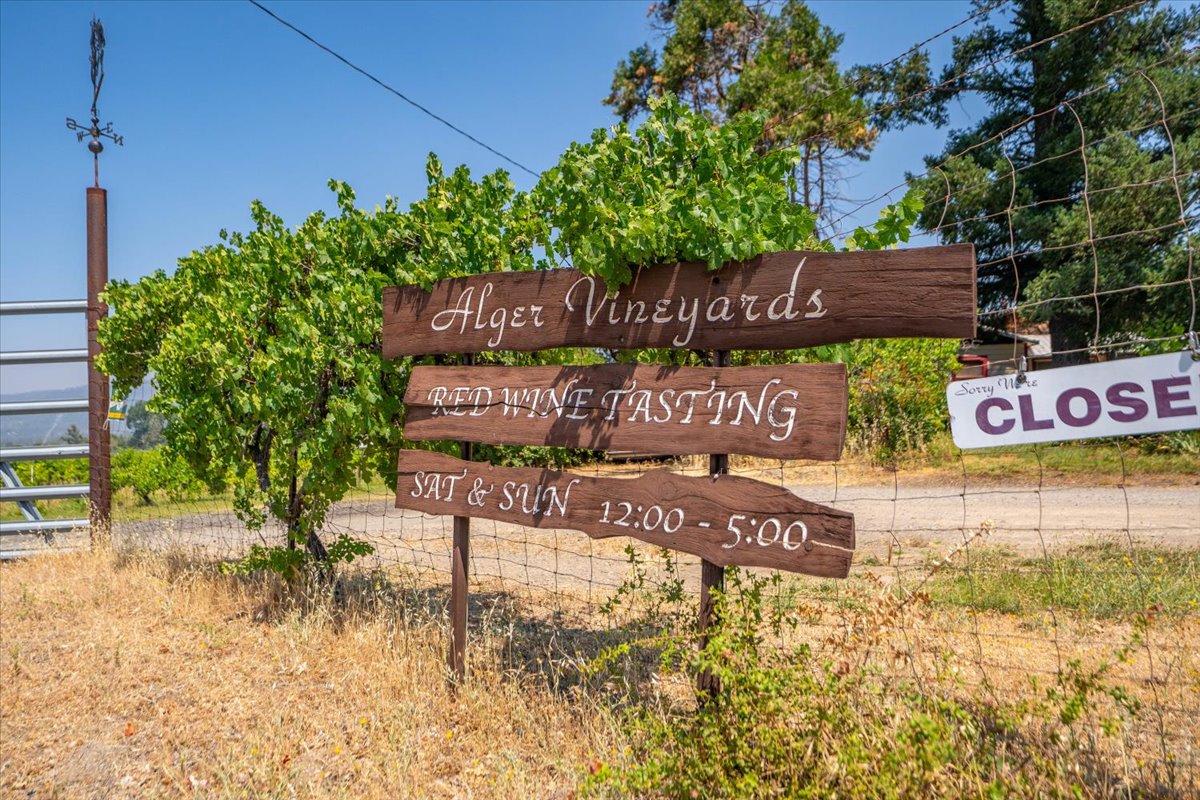 Alger Vineyards and More