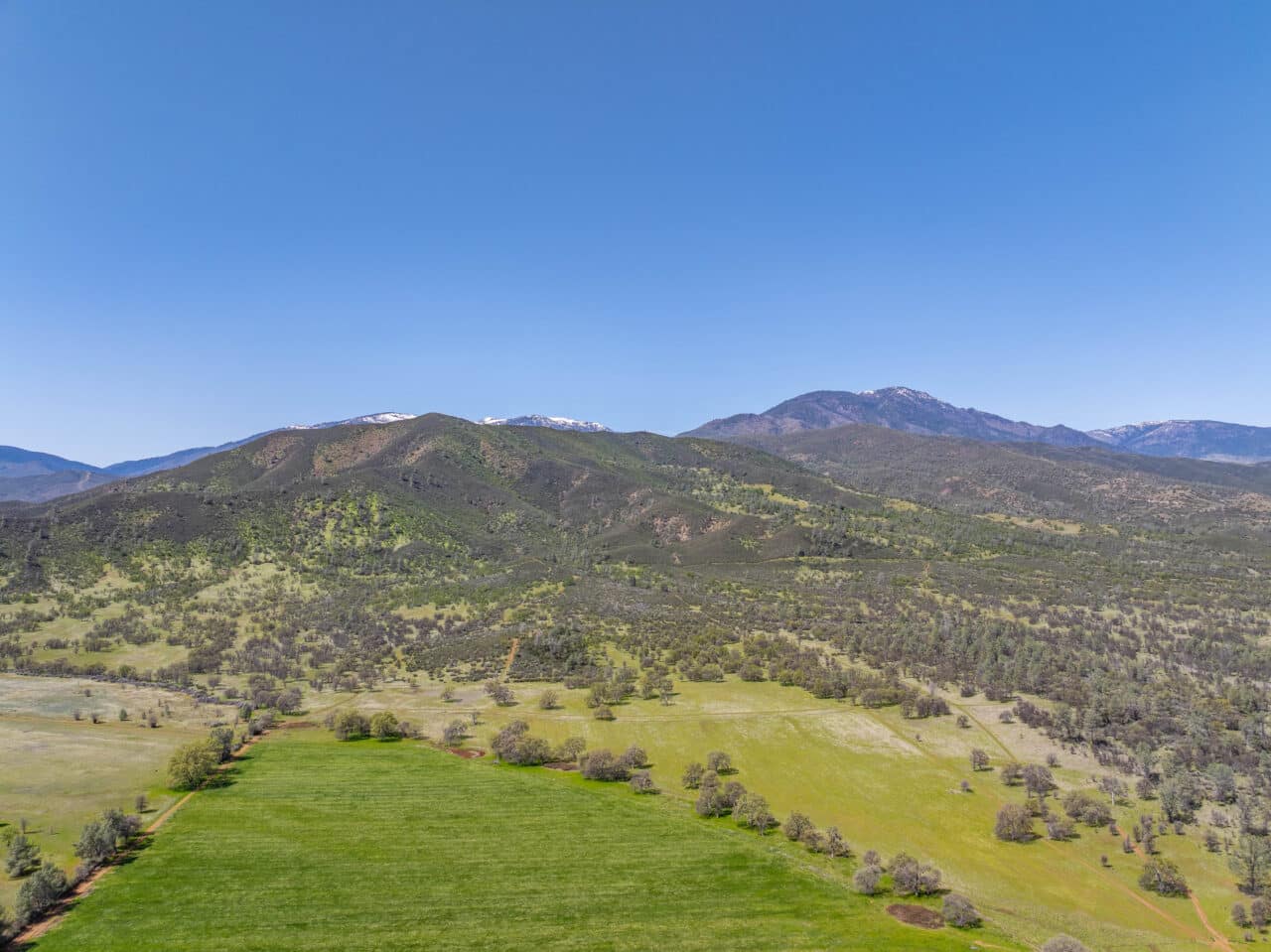Listing Image 68