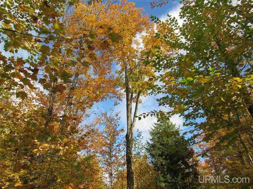 Michigan Private Lake Lot  50178194