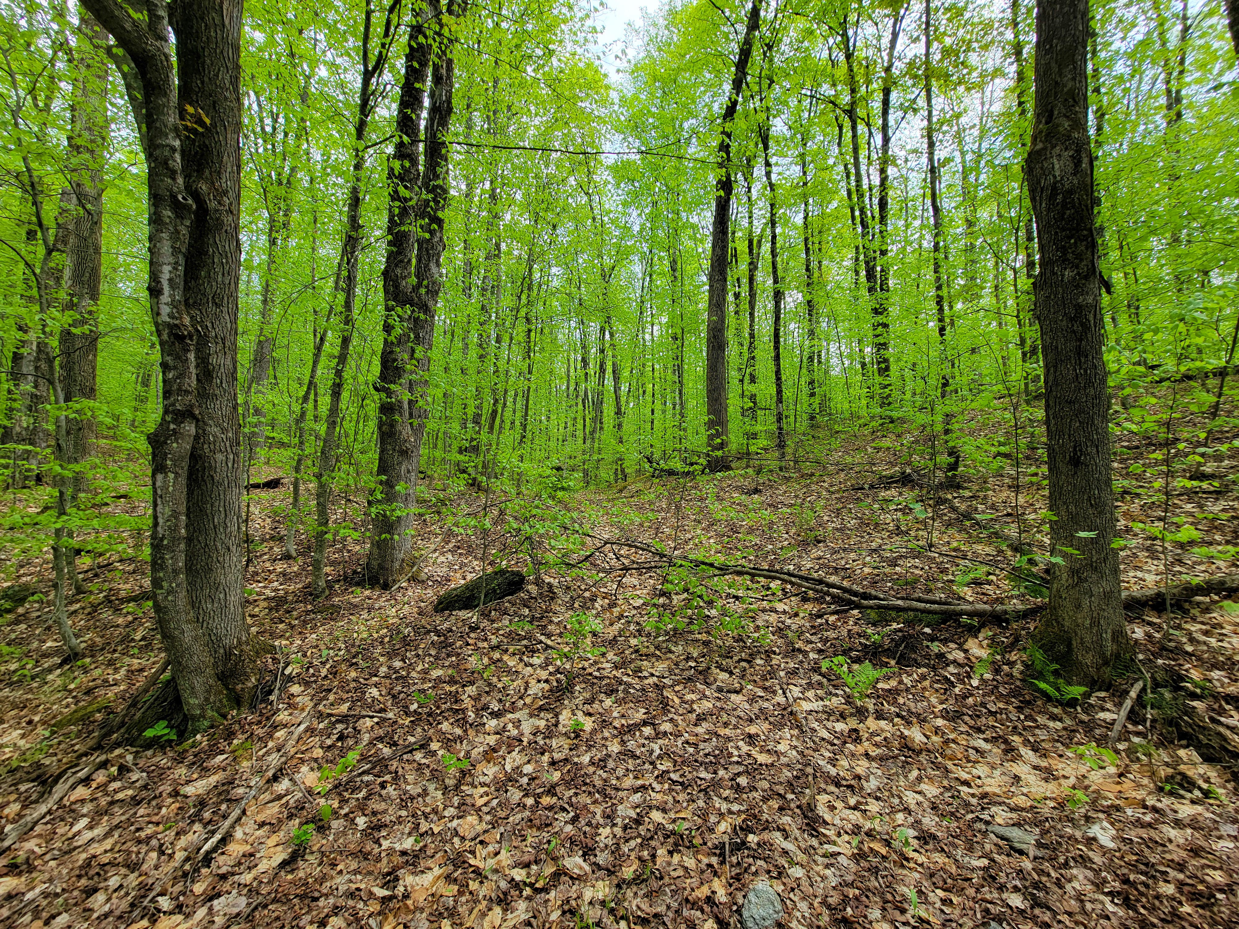 Listing Image 53