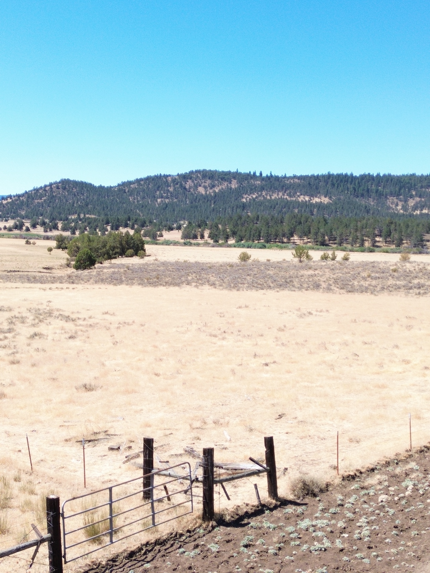 Crane Ranch