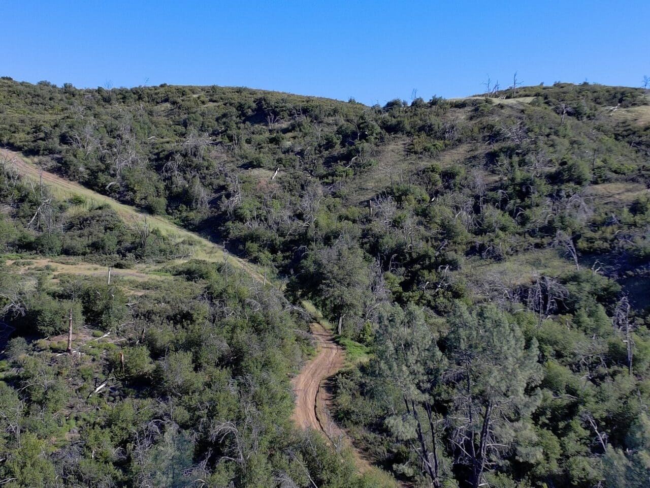 Listing Image 52