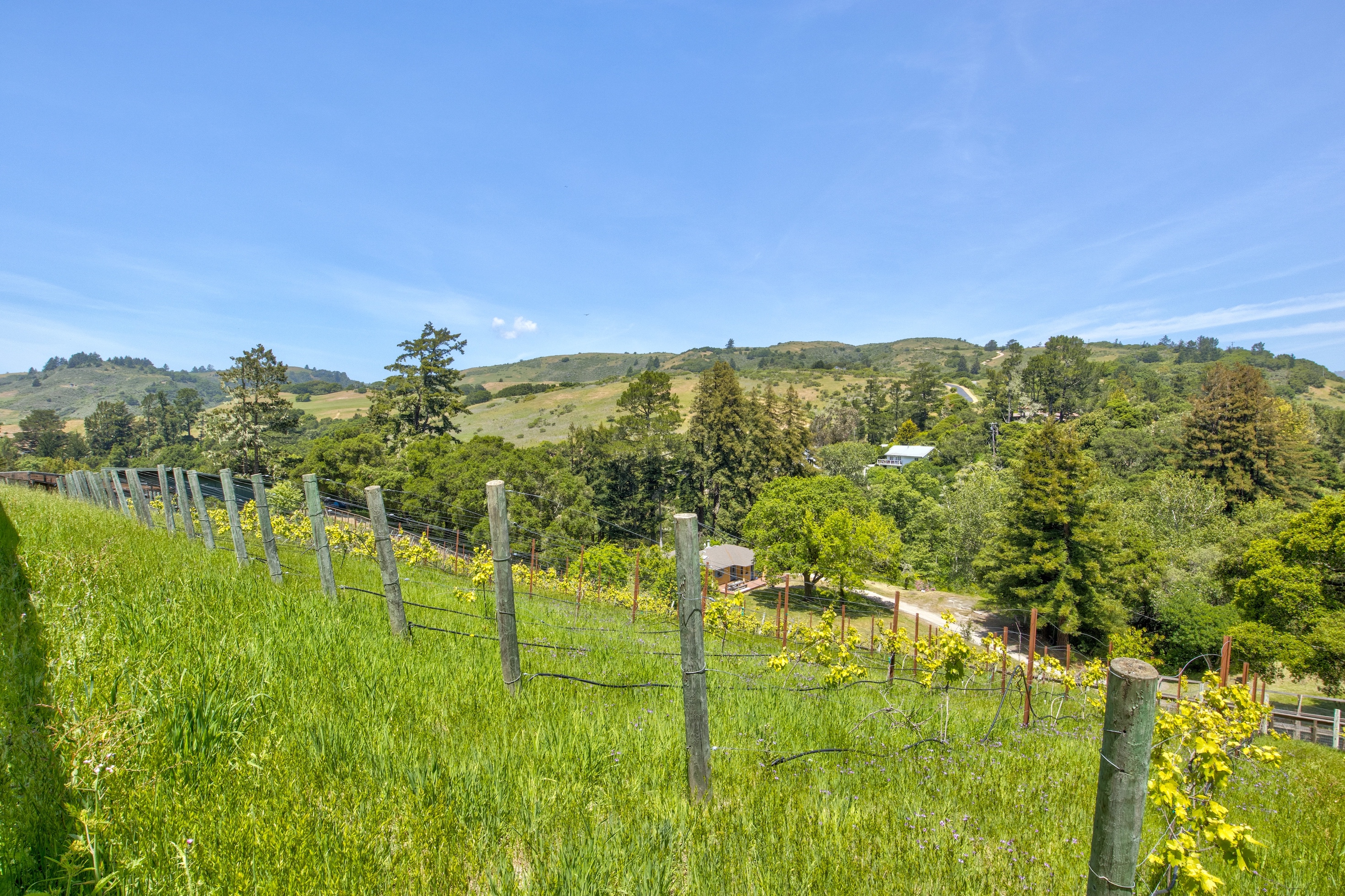 San Gregorio Creekside Farm
