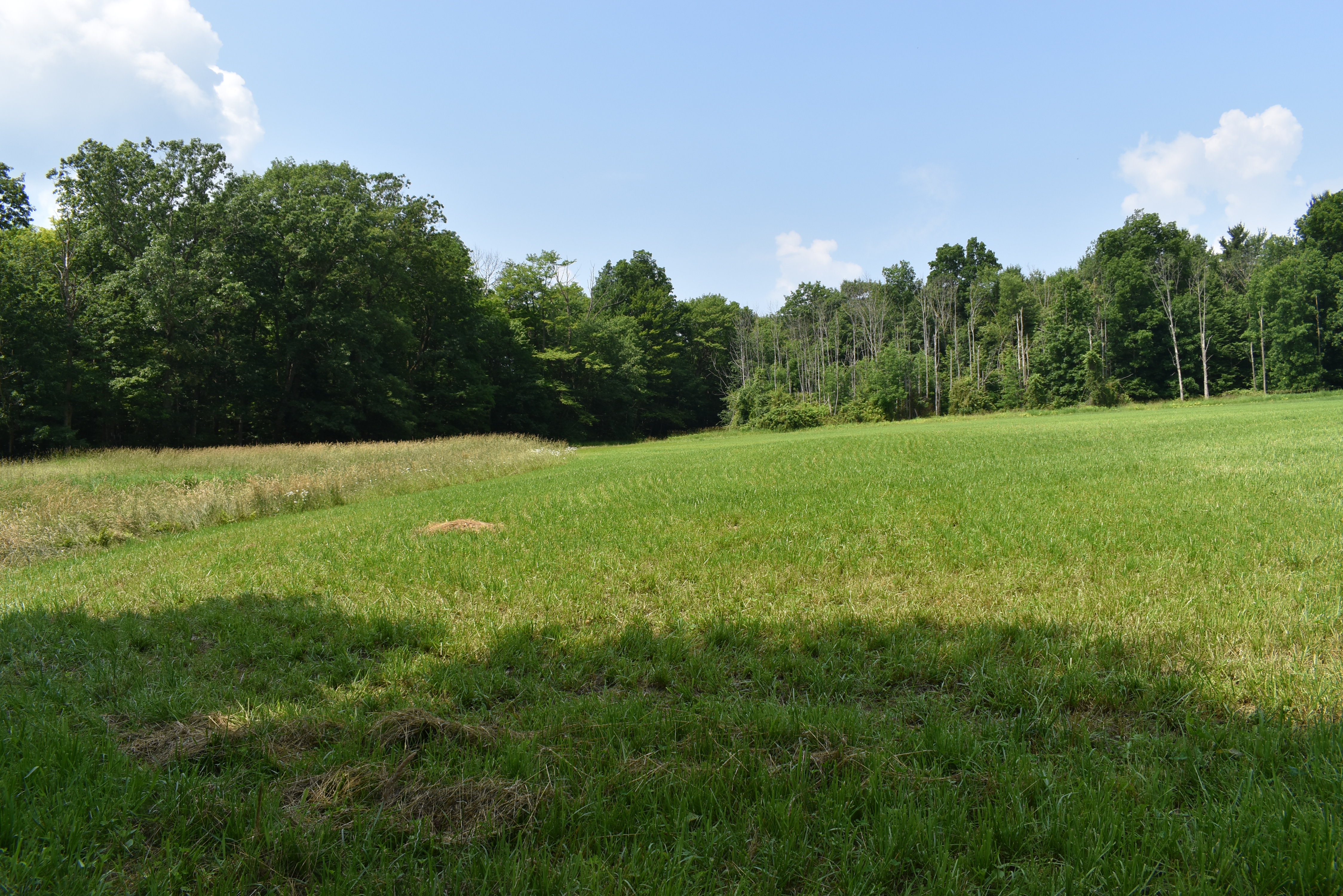 Listing Image 67