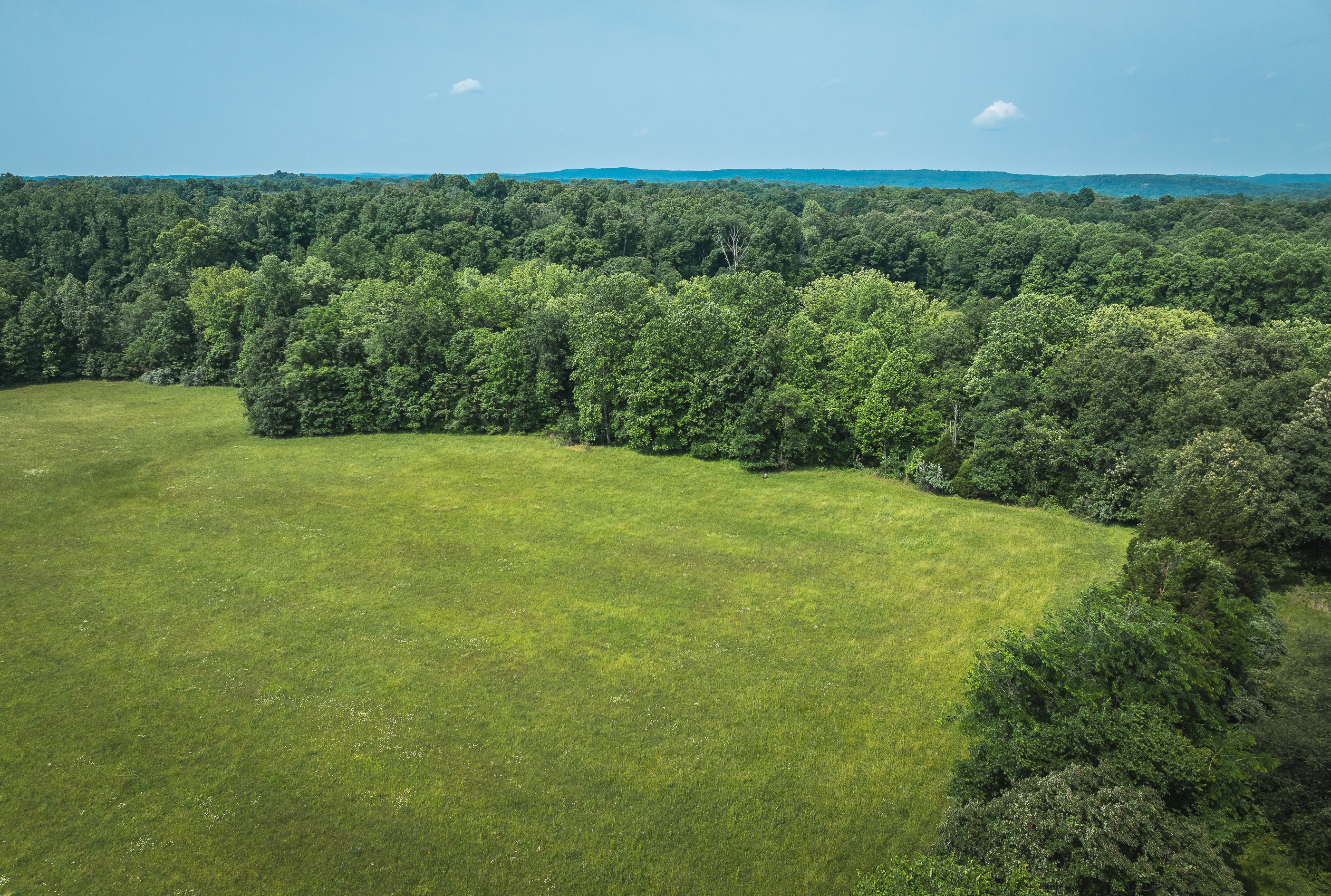 Listing Image 80