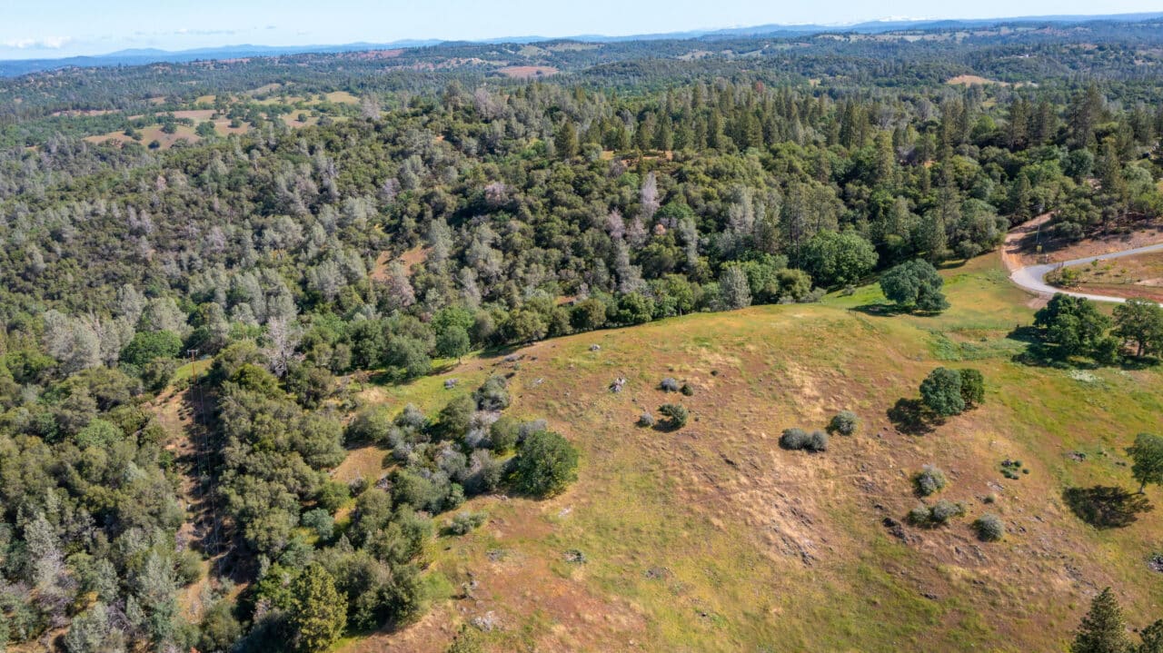 Trembath Mountain Vista