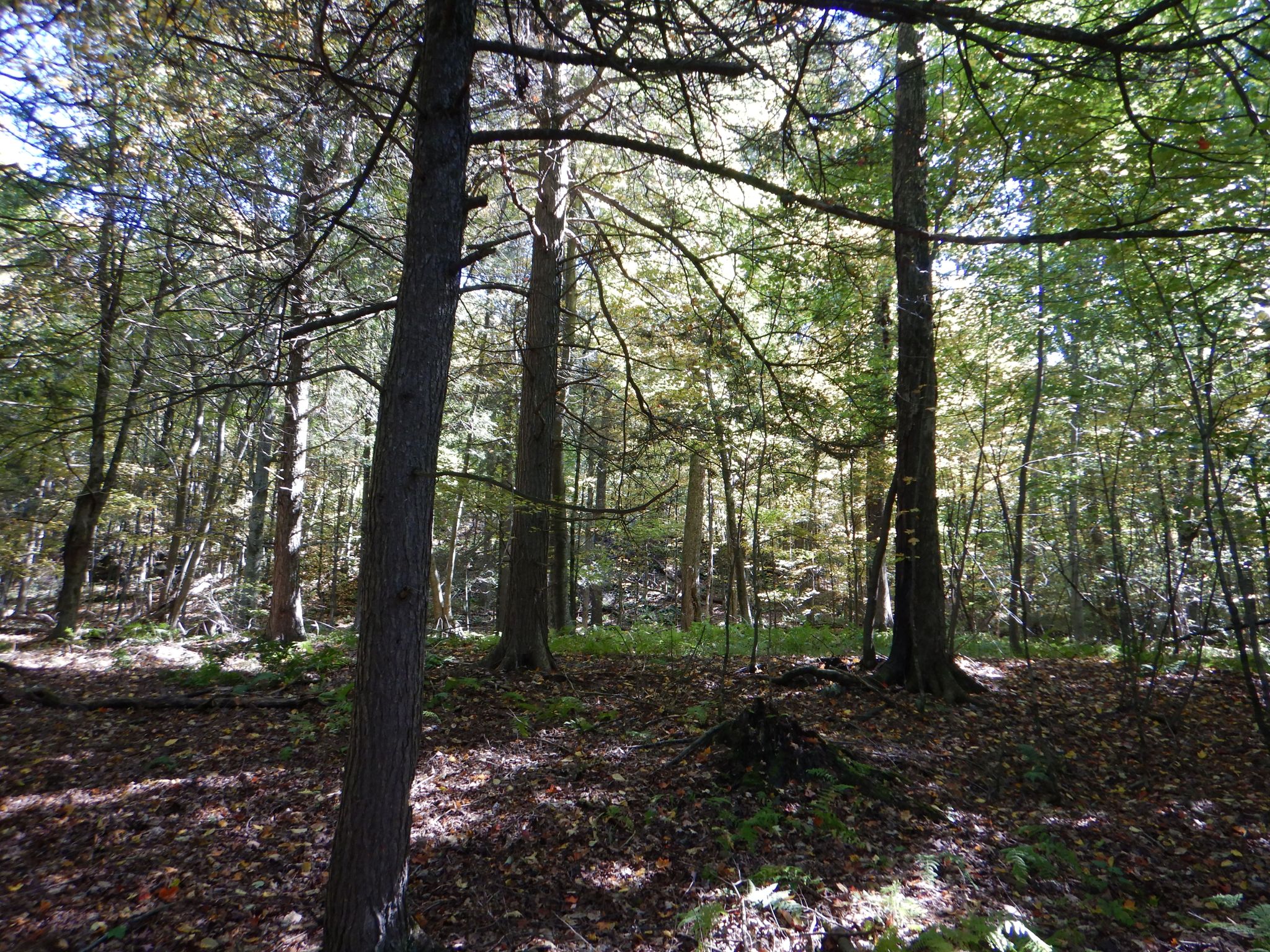 Listing Image 27