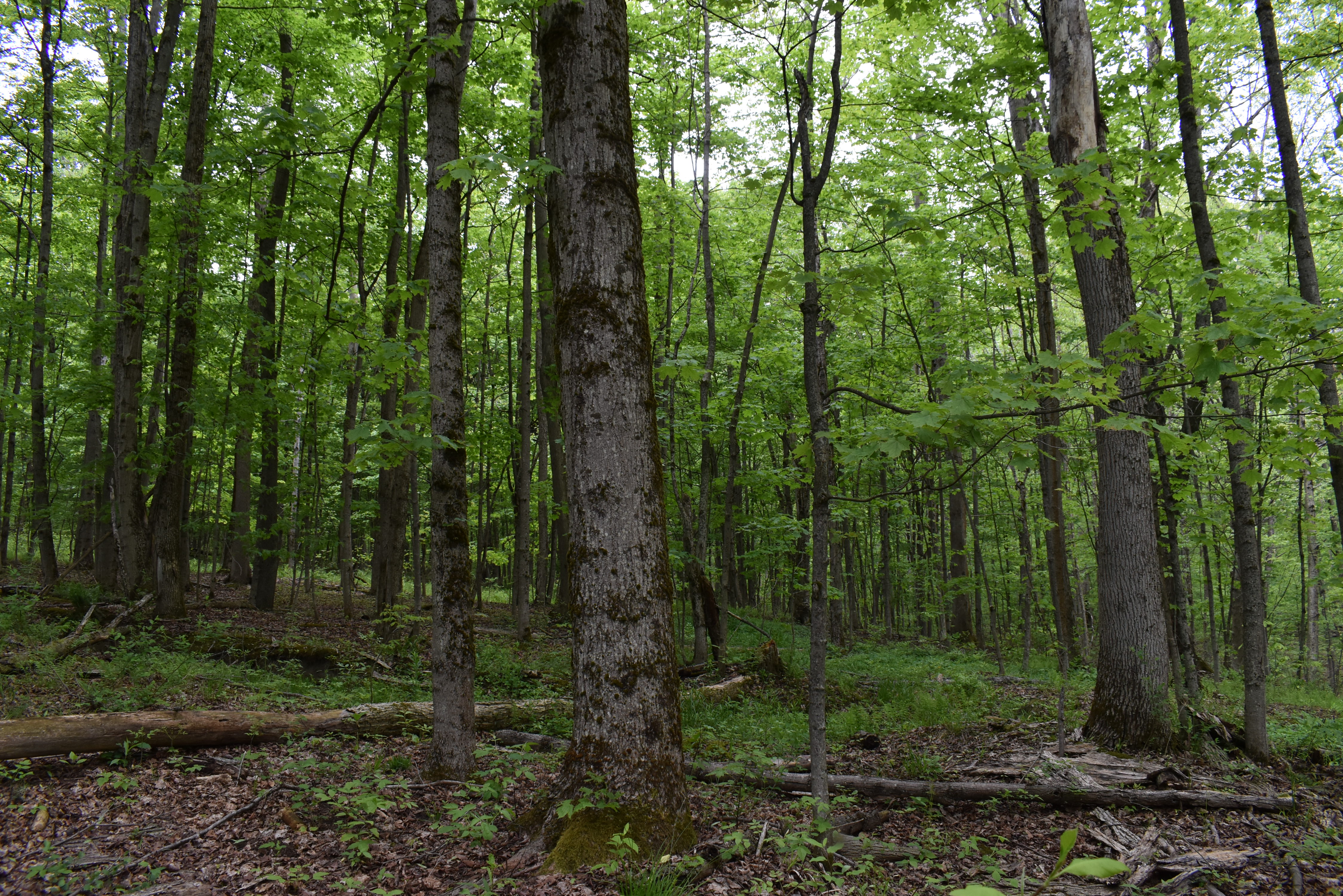 Listing Image 17