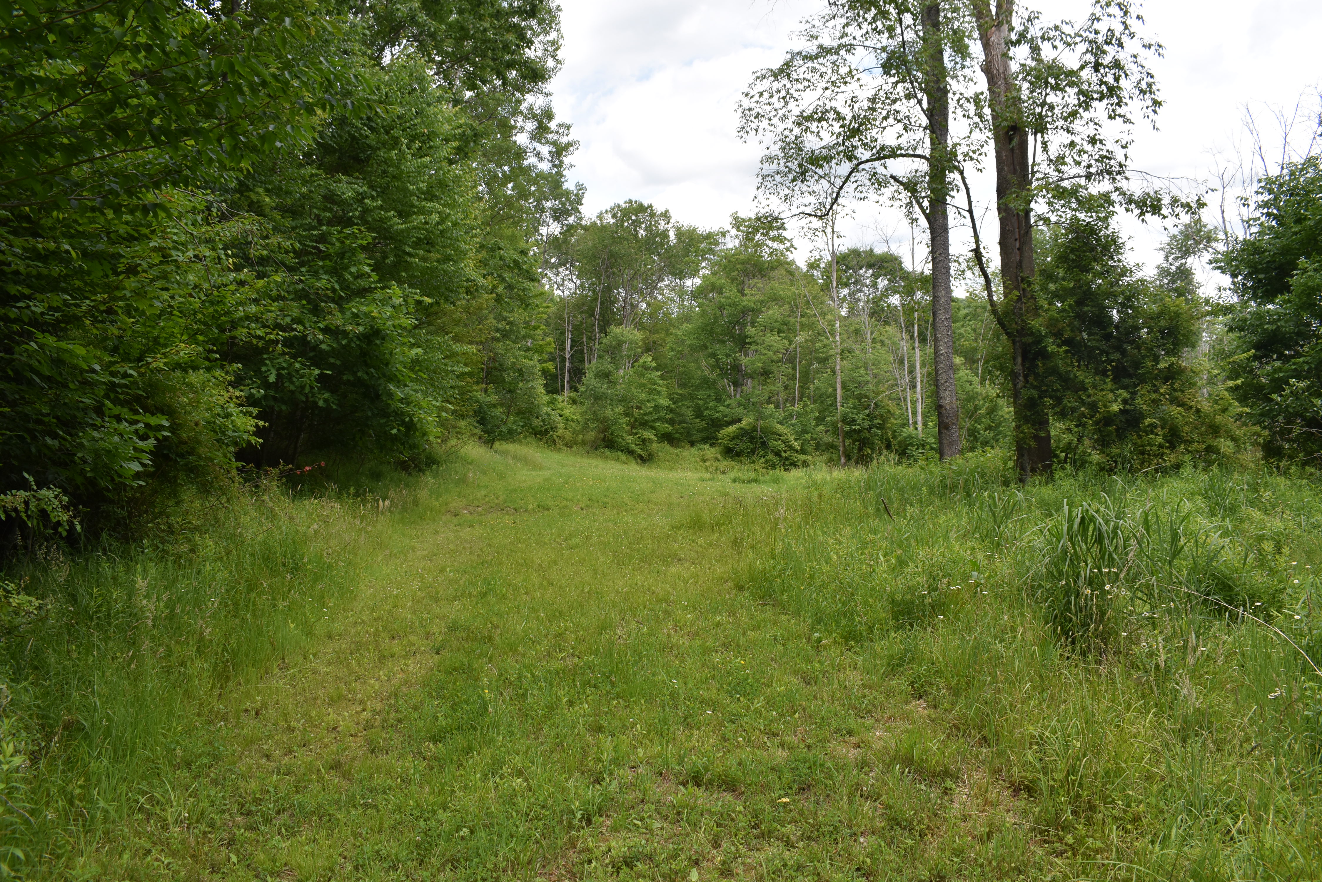 Listing Image 24