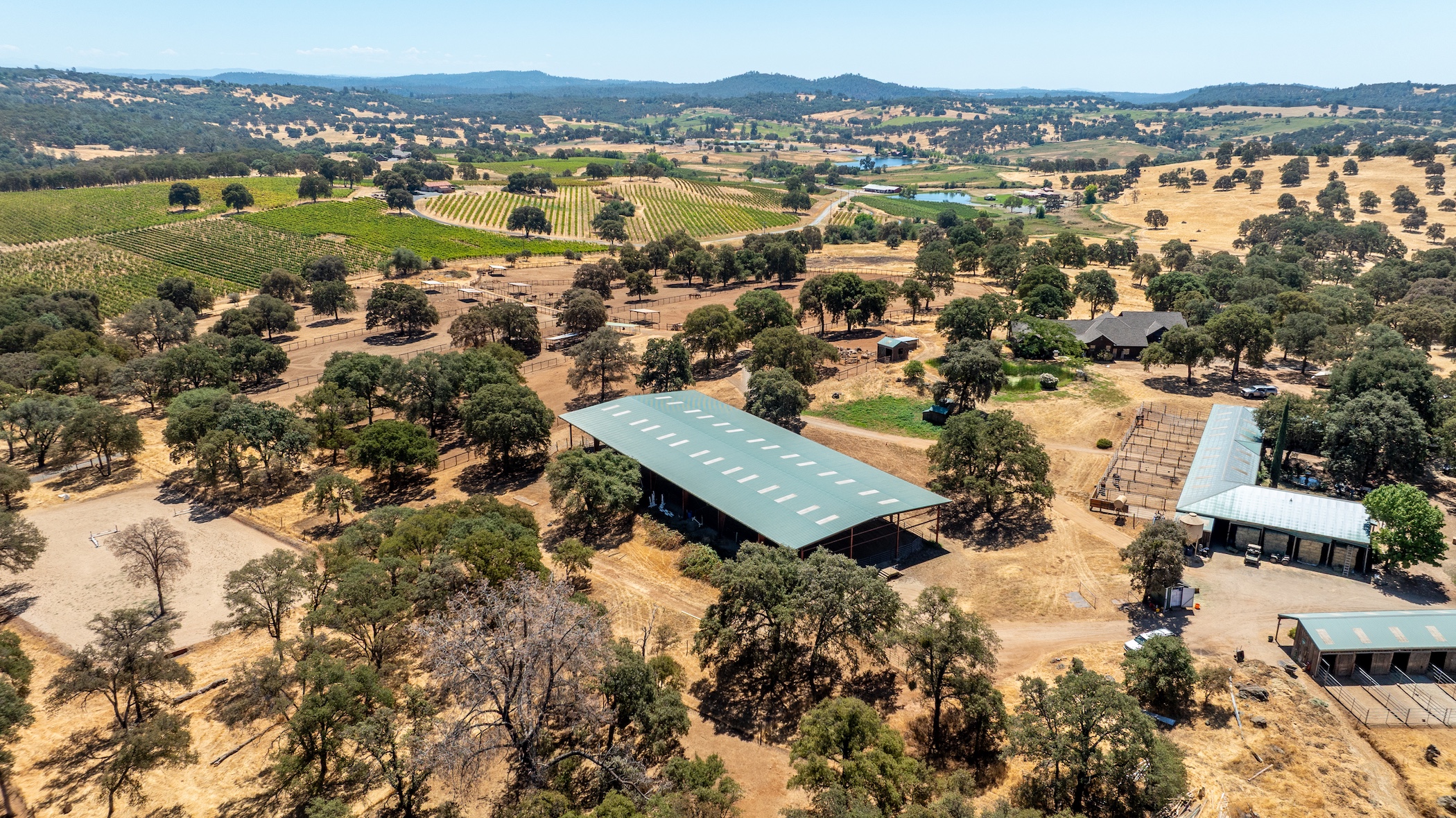 Blue Fountain Farm