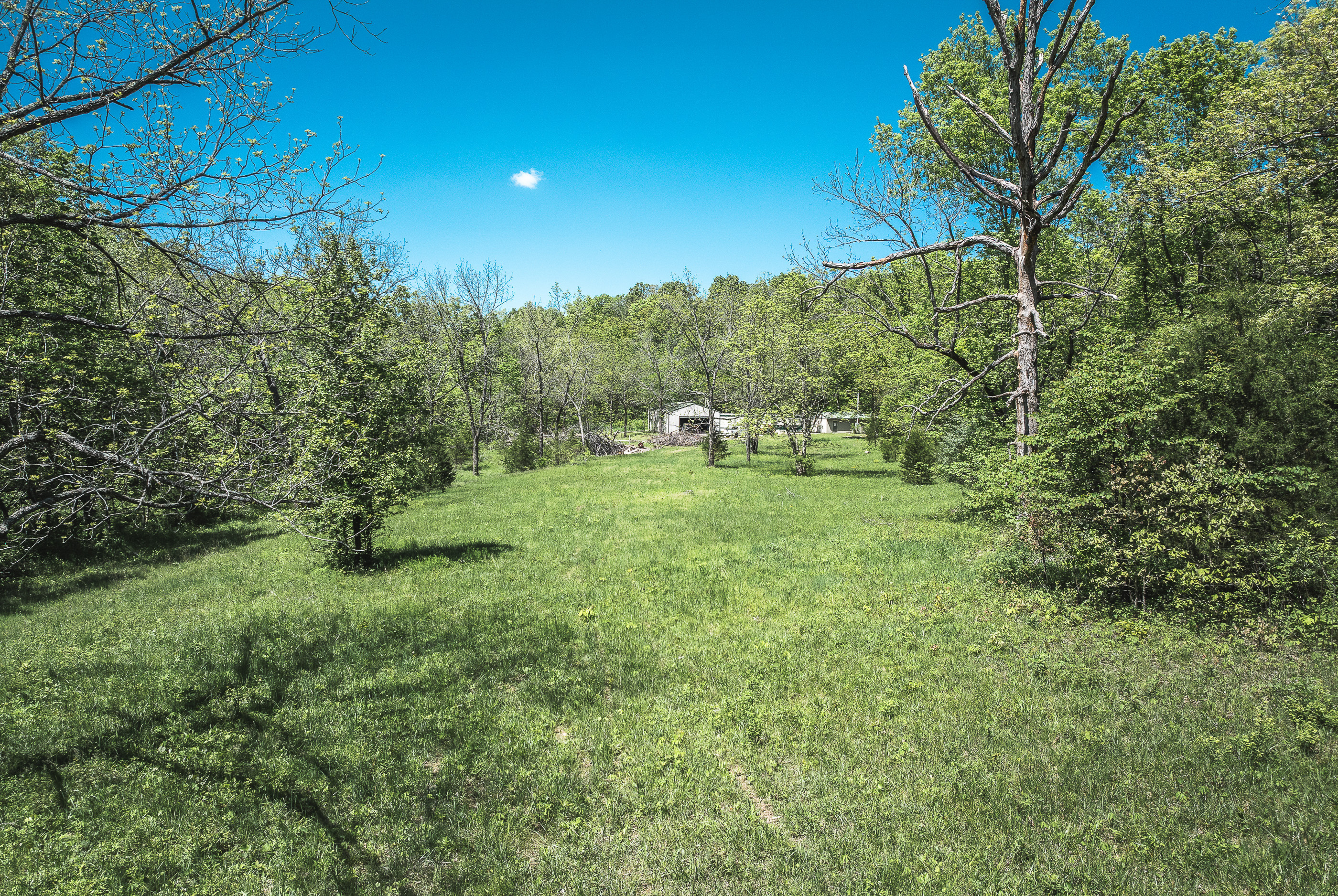 Listing Image 33
