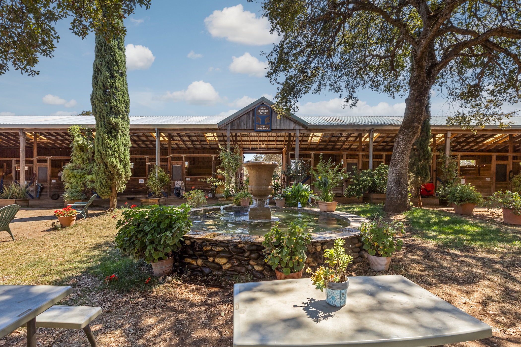 Blue Fountain Farm