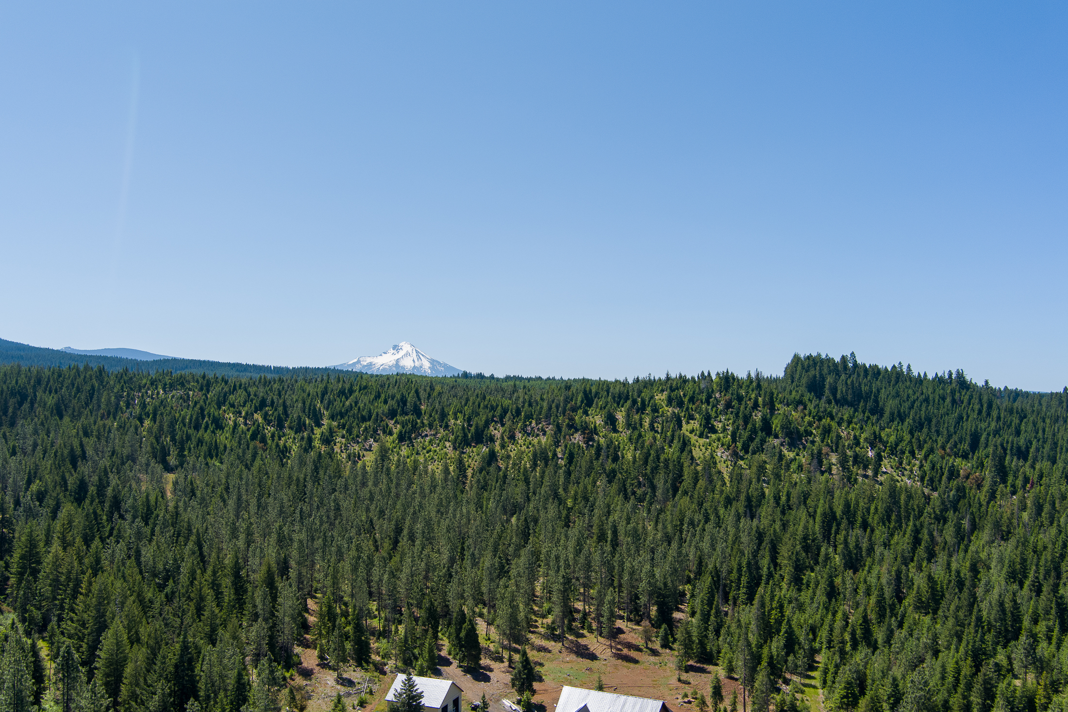 Medco Pond- Recreational Retreat