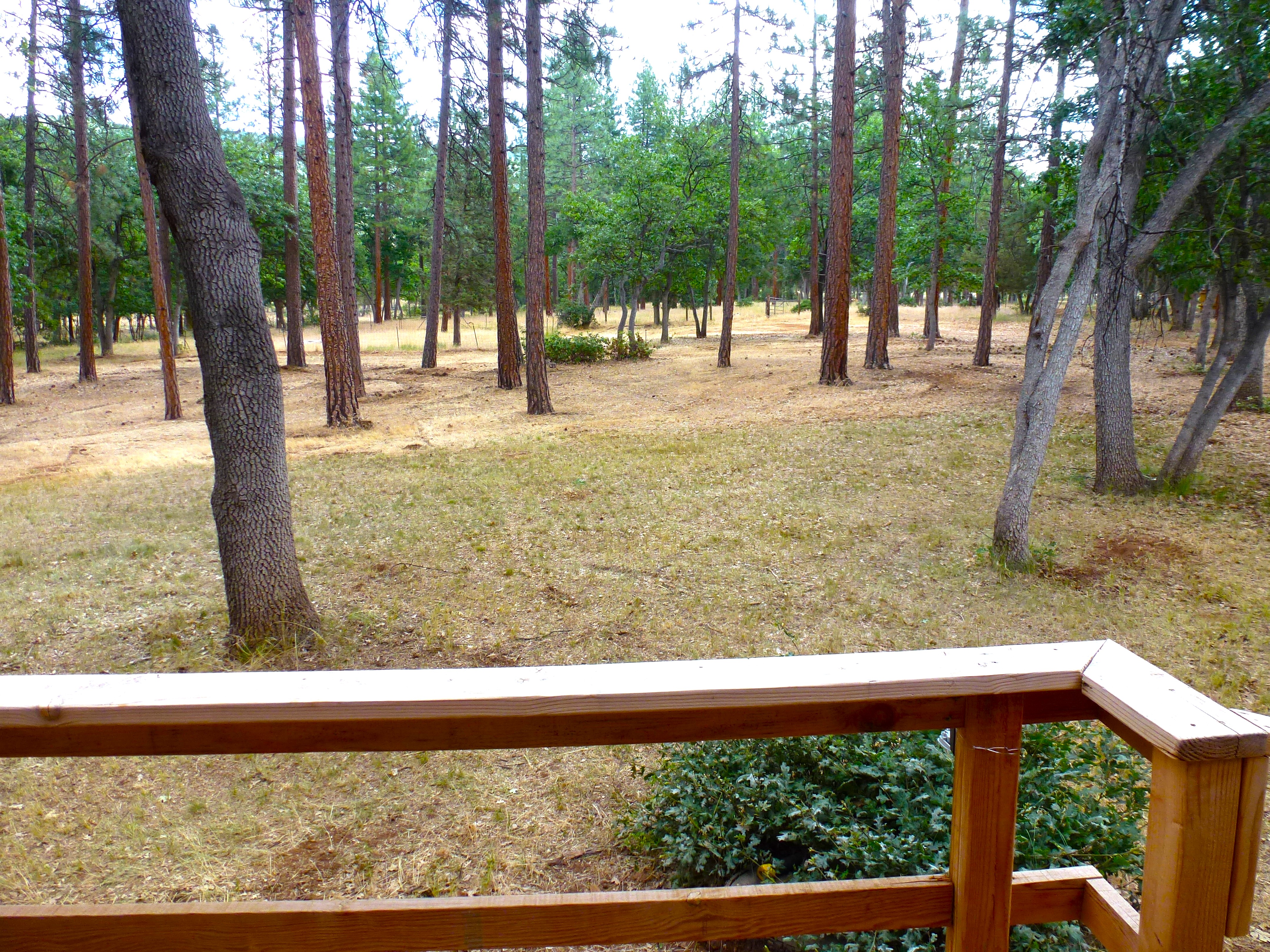 Log Home in the Pines