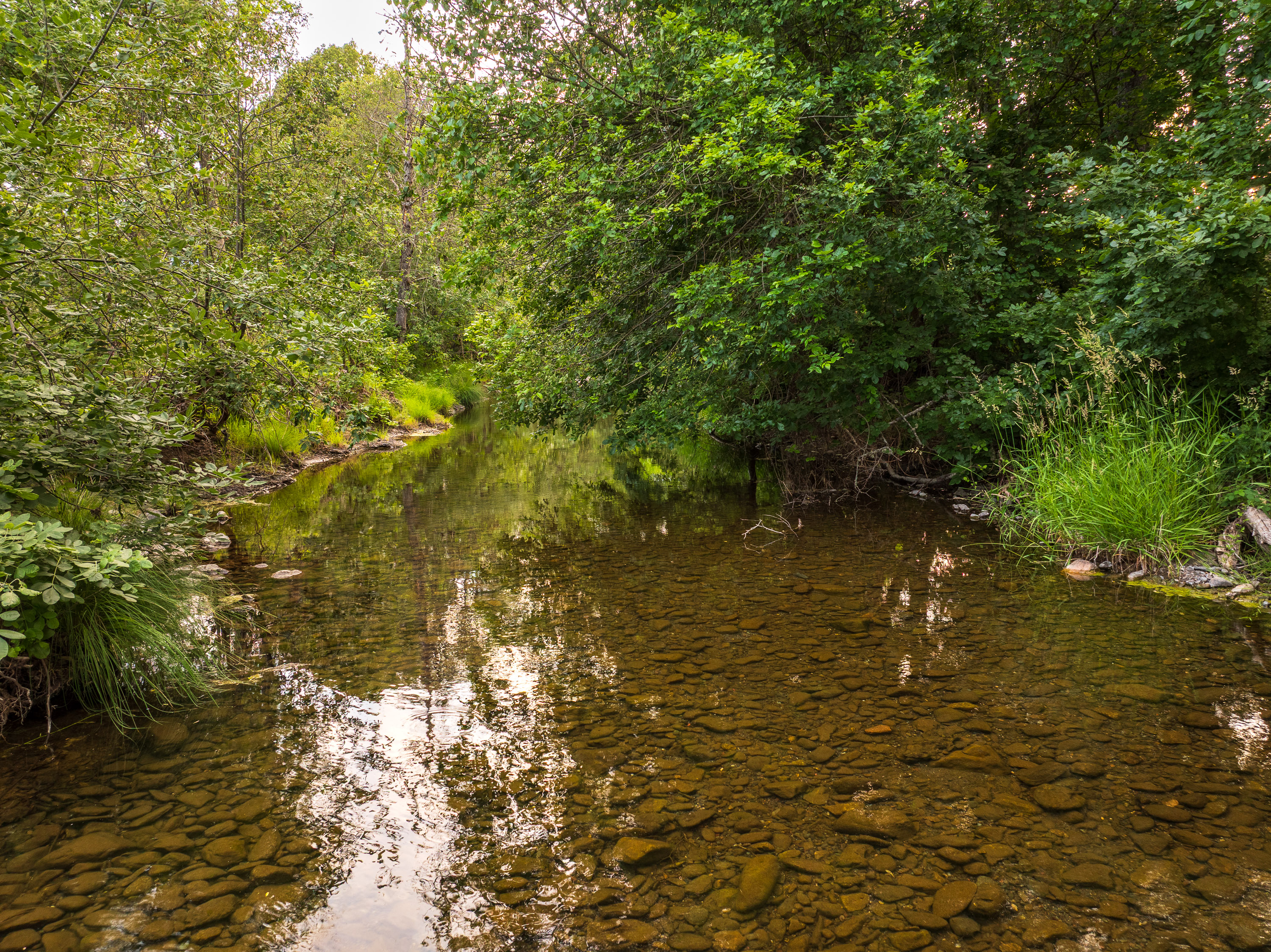 Listing Image 43