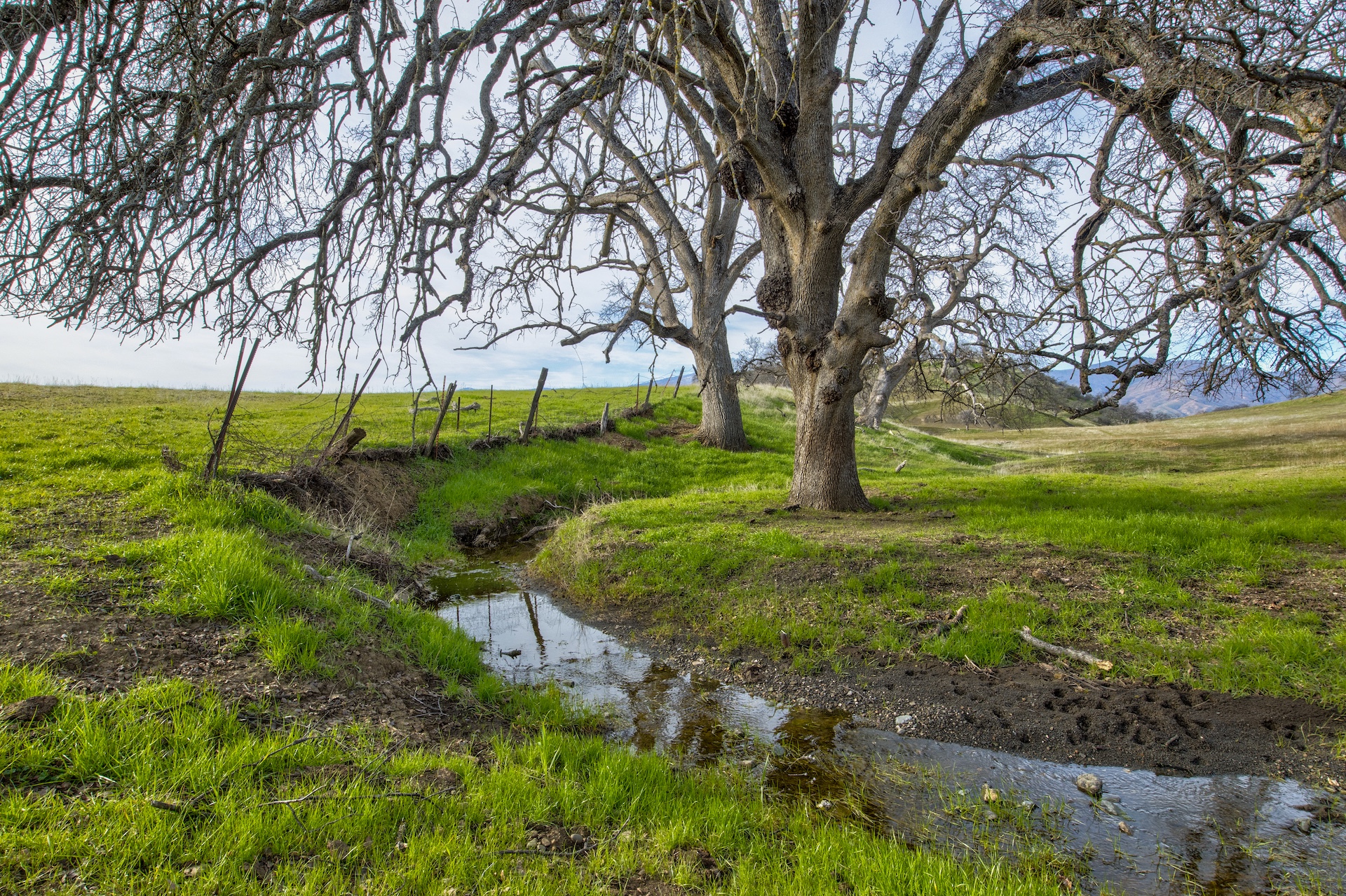 Elk Creek Ranchette