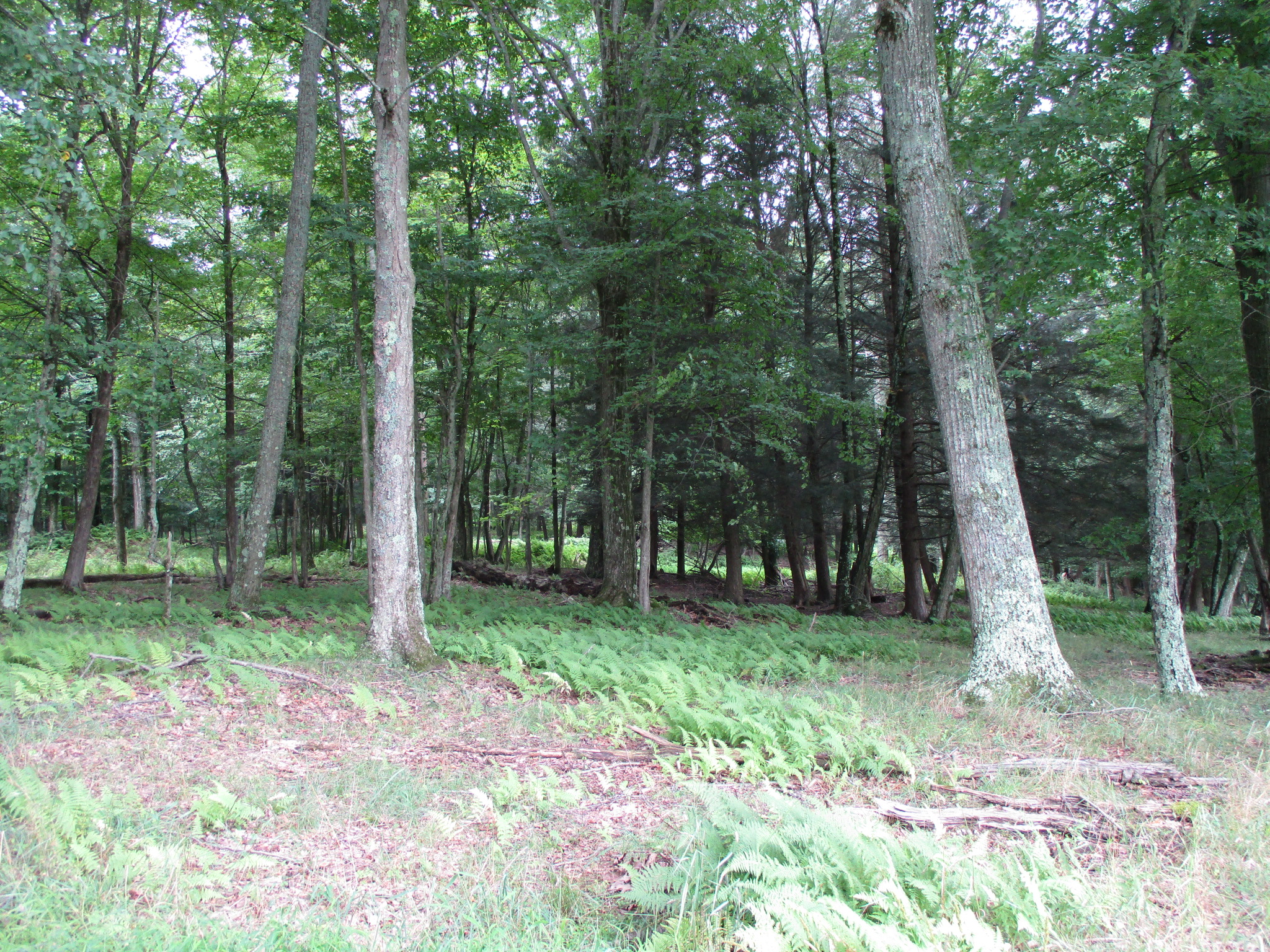 Listing Image 34
