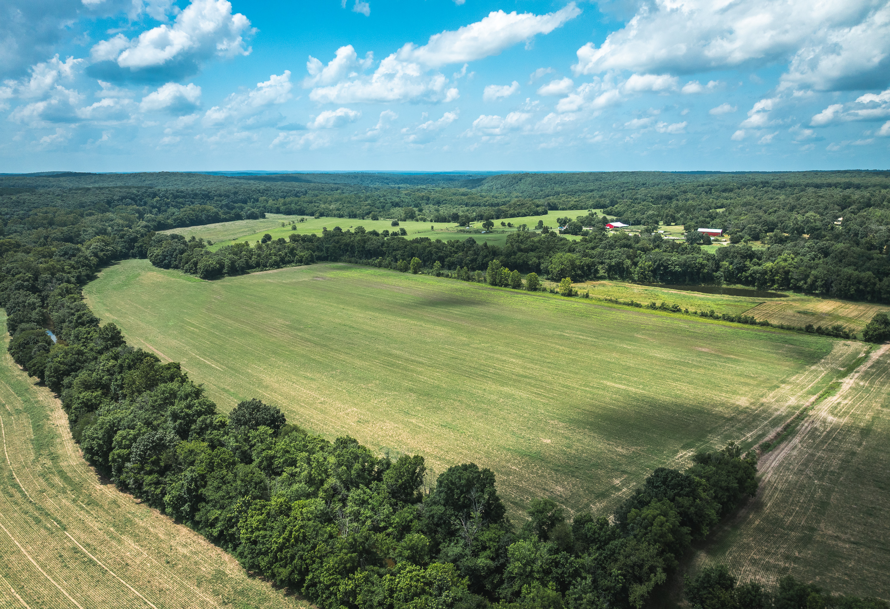 Gasconade Angus Ranch